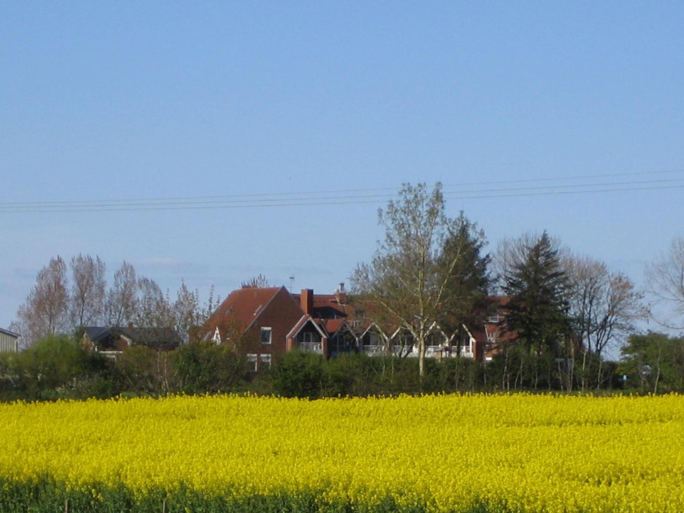 Photo 39