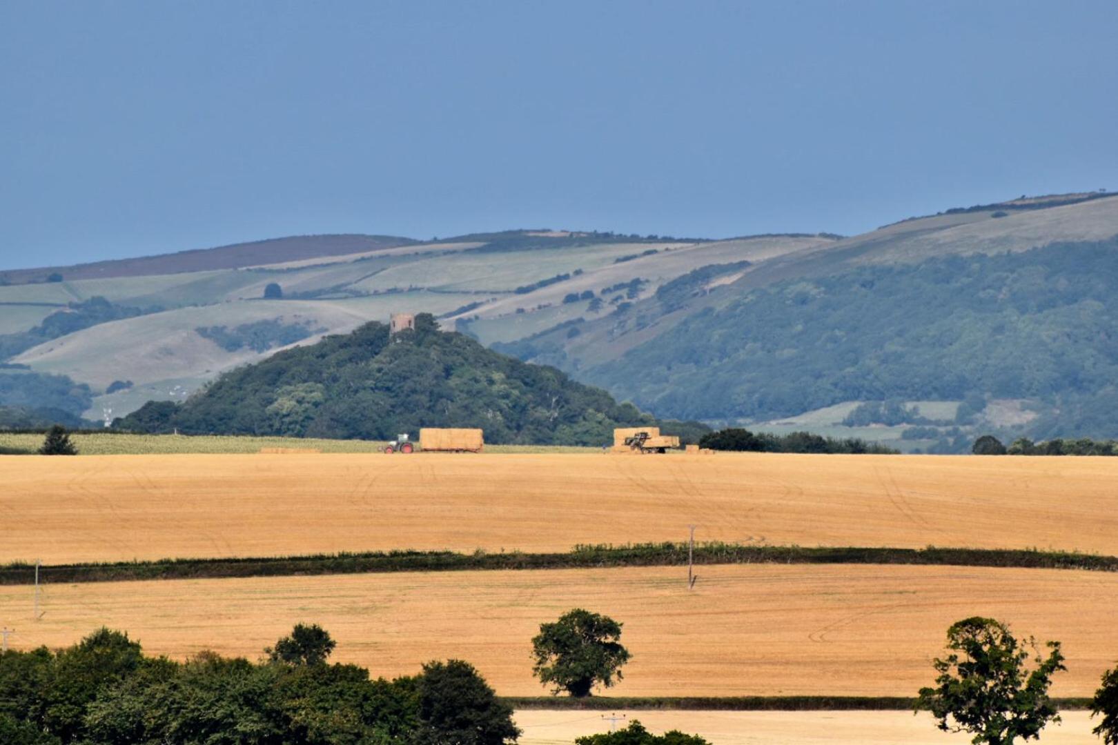 Cedar House