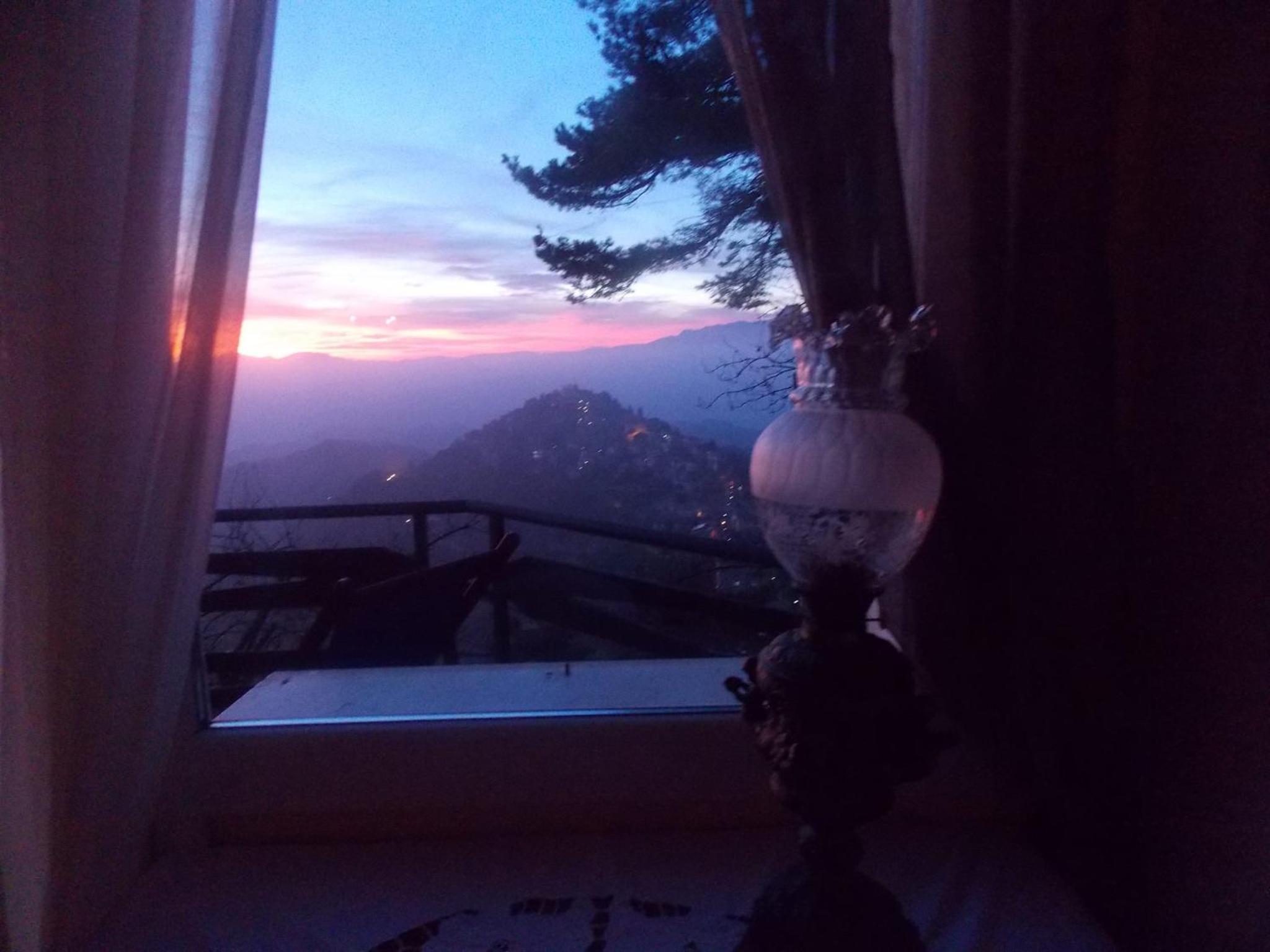 B&B Le Camelie del Bosco