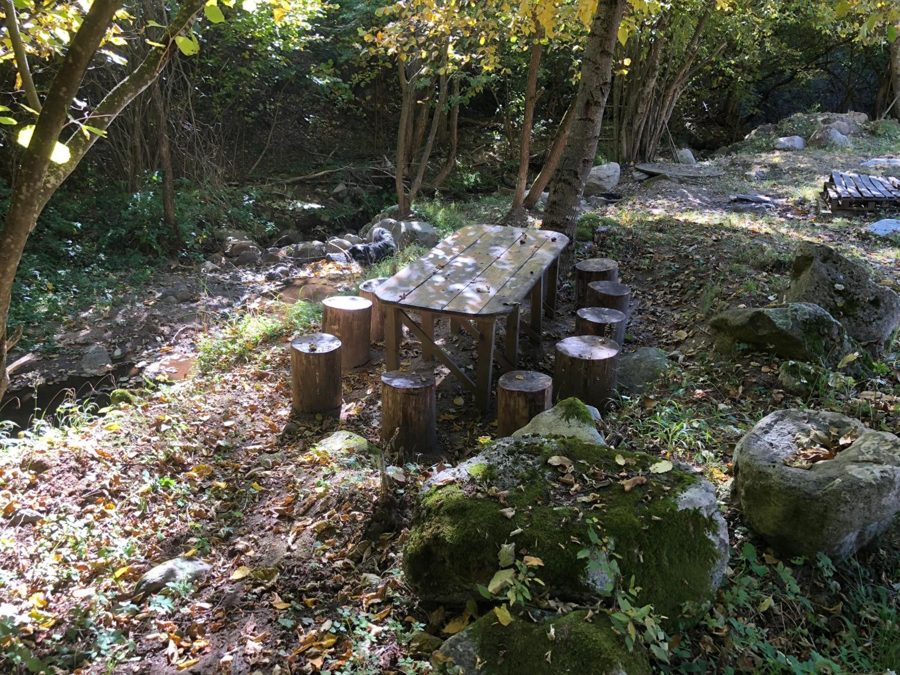 Photo 19