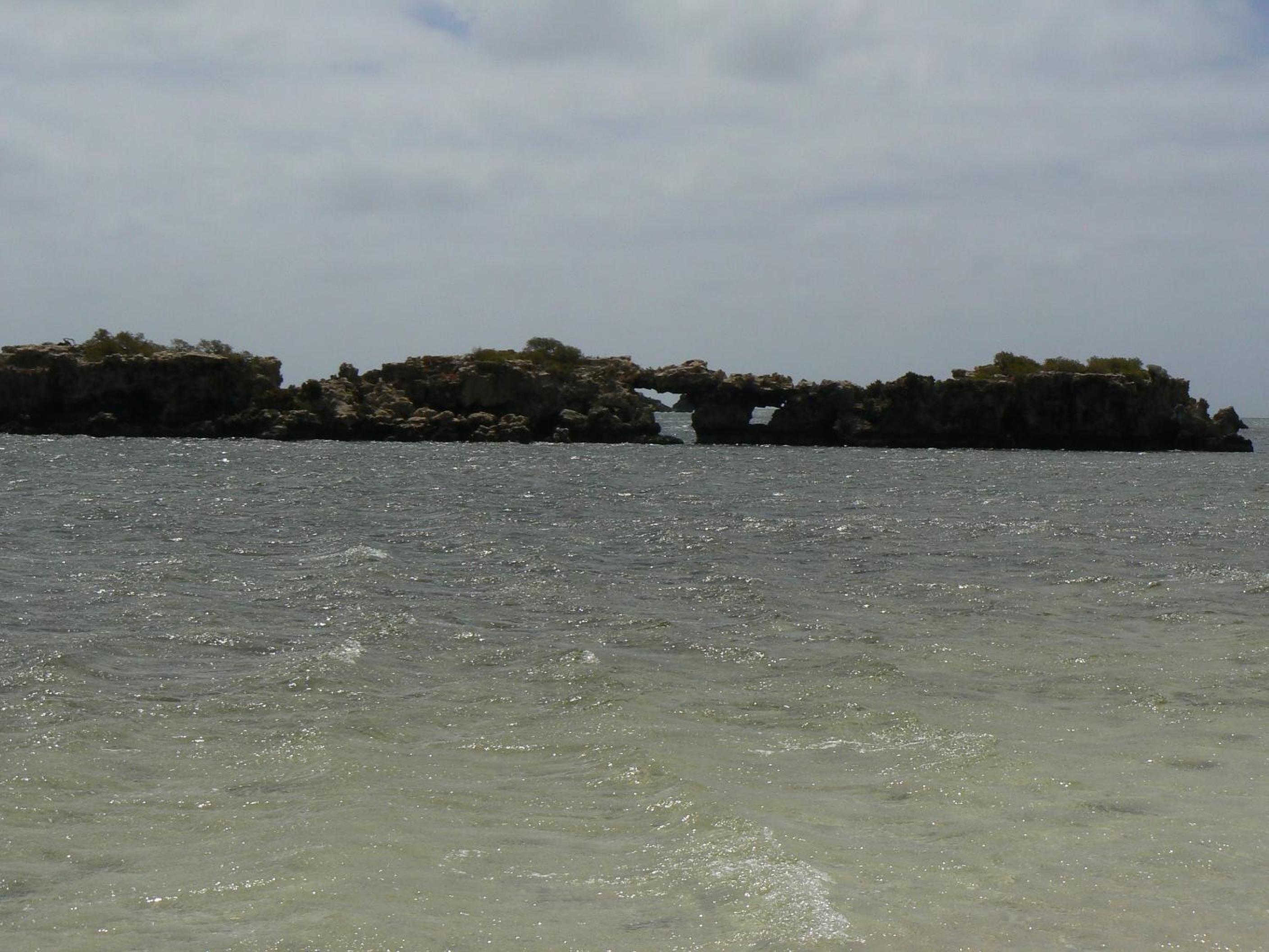Photo 41
