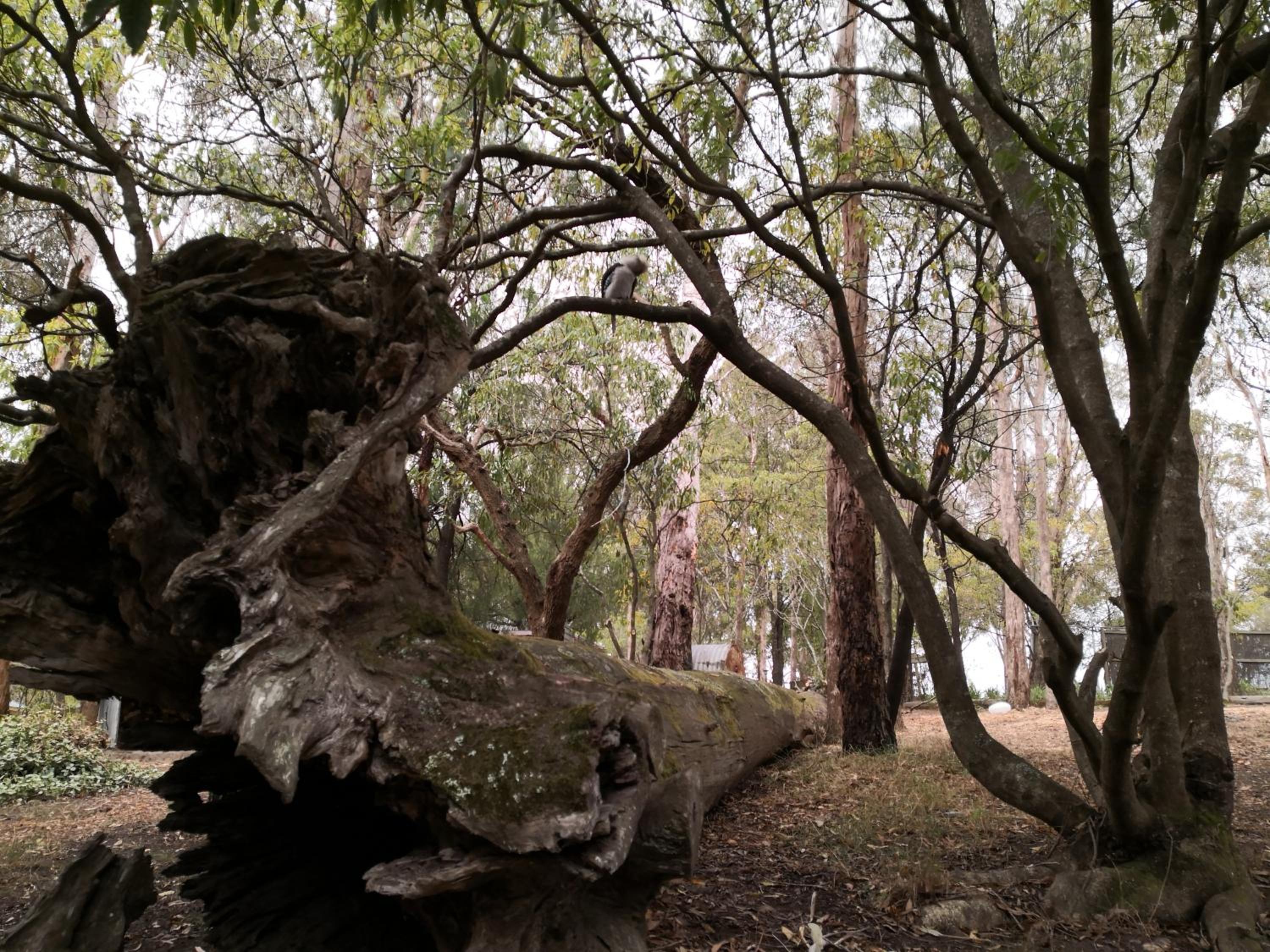 Photo 21