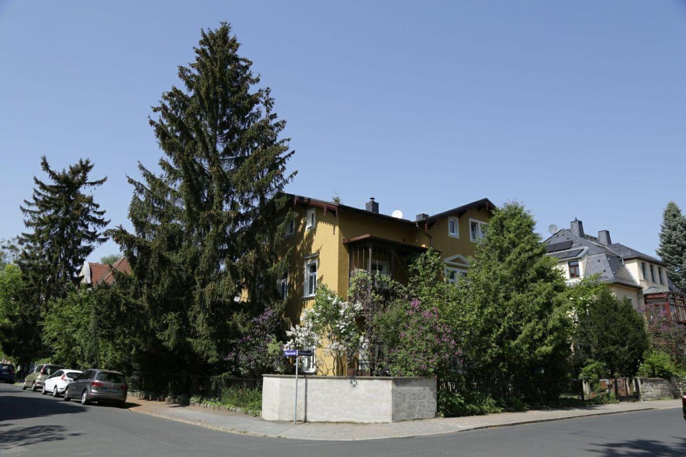Apartment der Villa Elsa