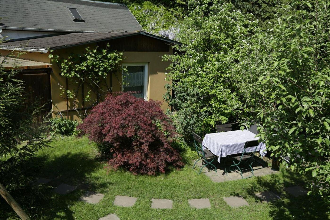 Apartment der Villa Elsa