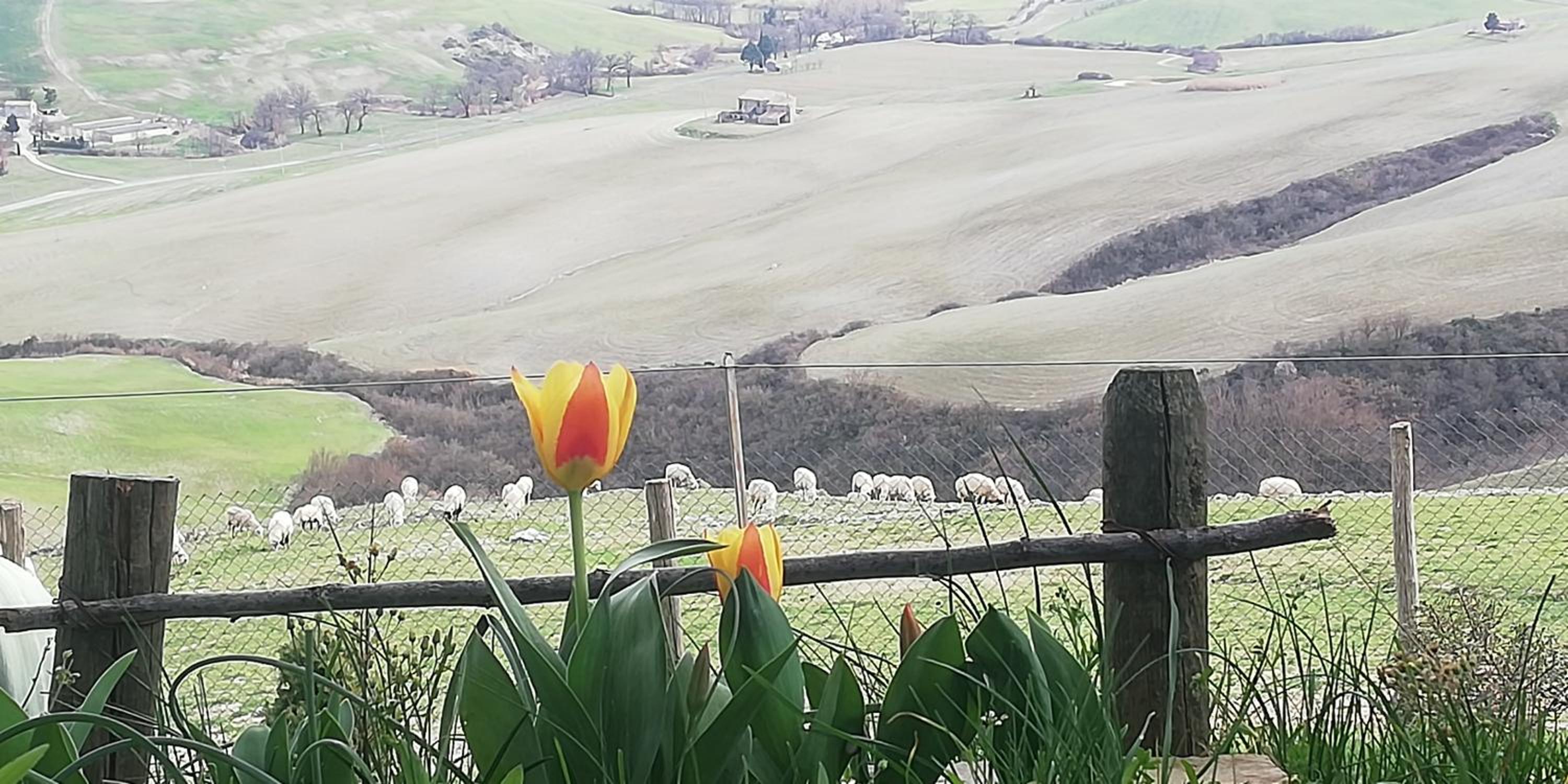 Agriturismo Collomici