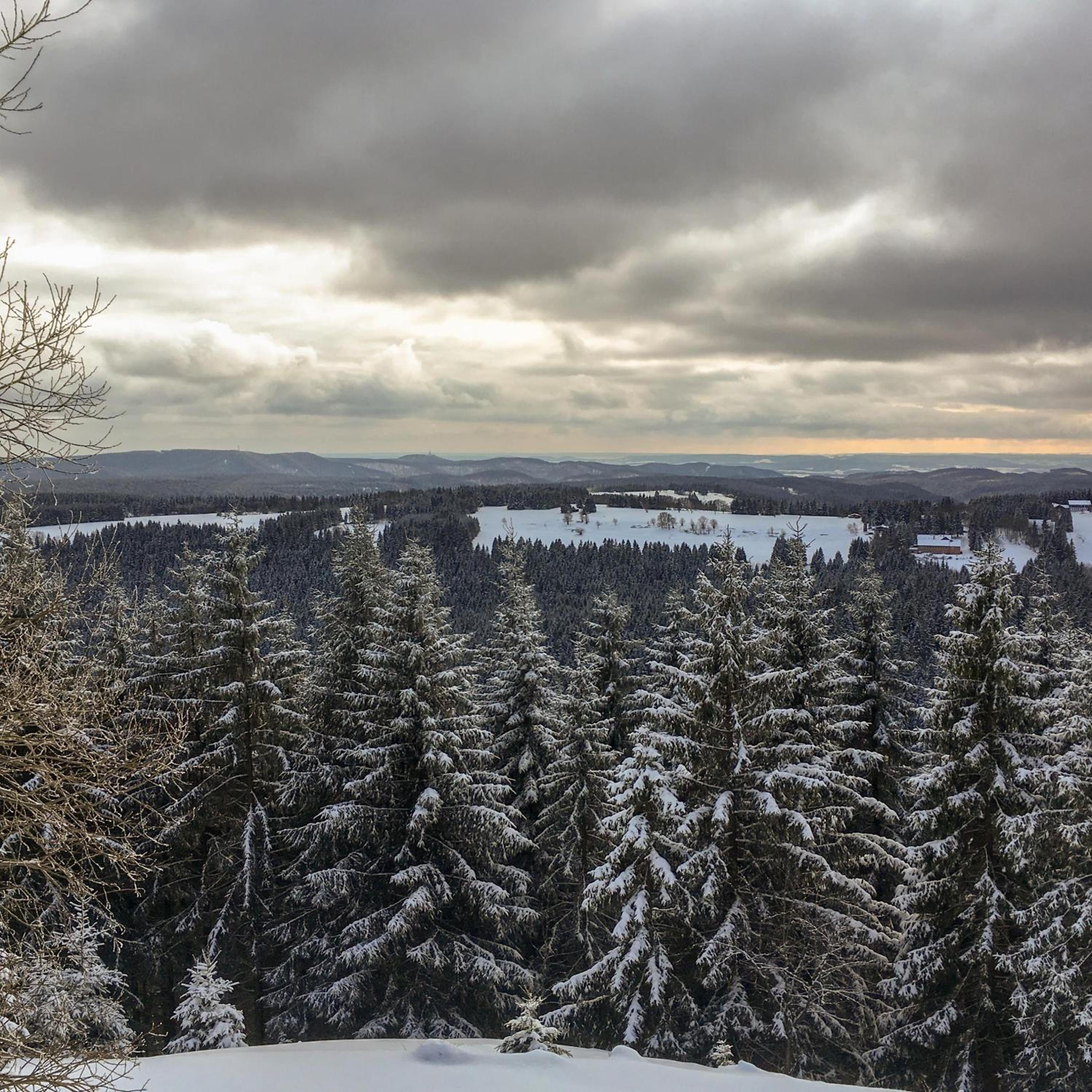 Harznest en Braunlage