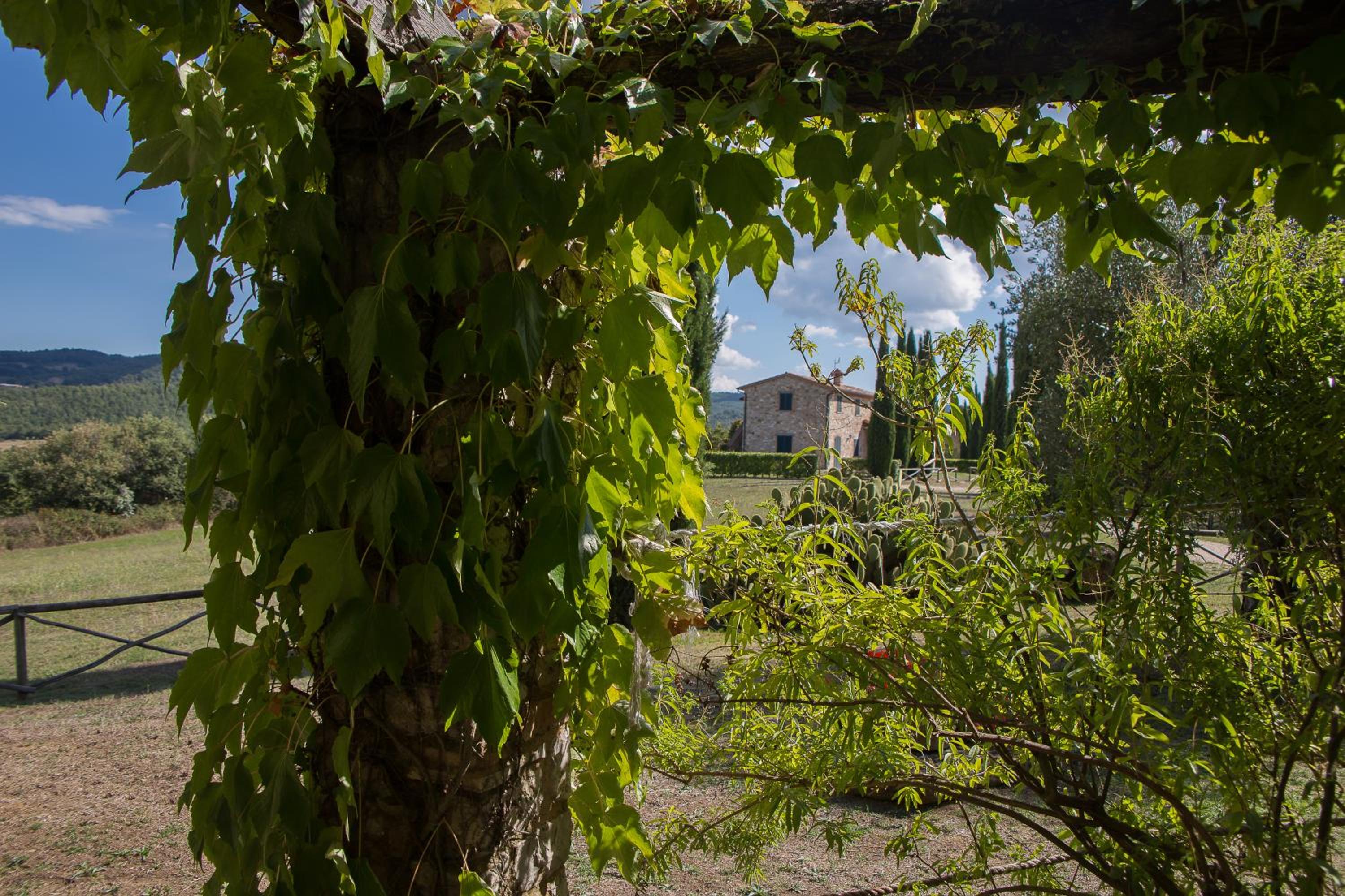 Villa Lavanda view 5
