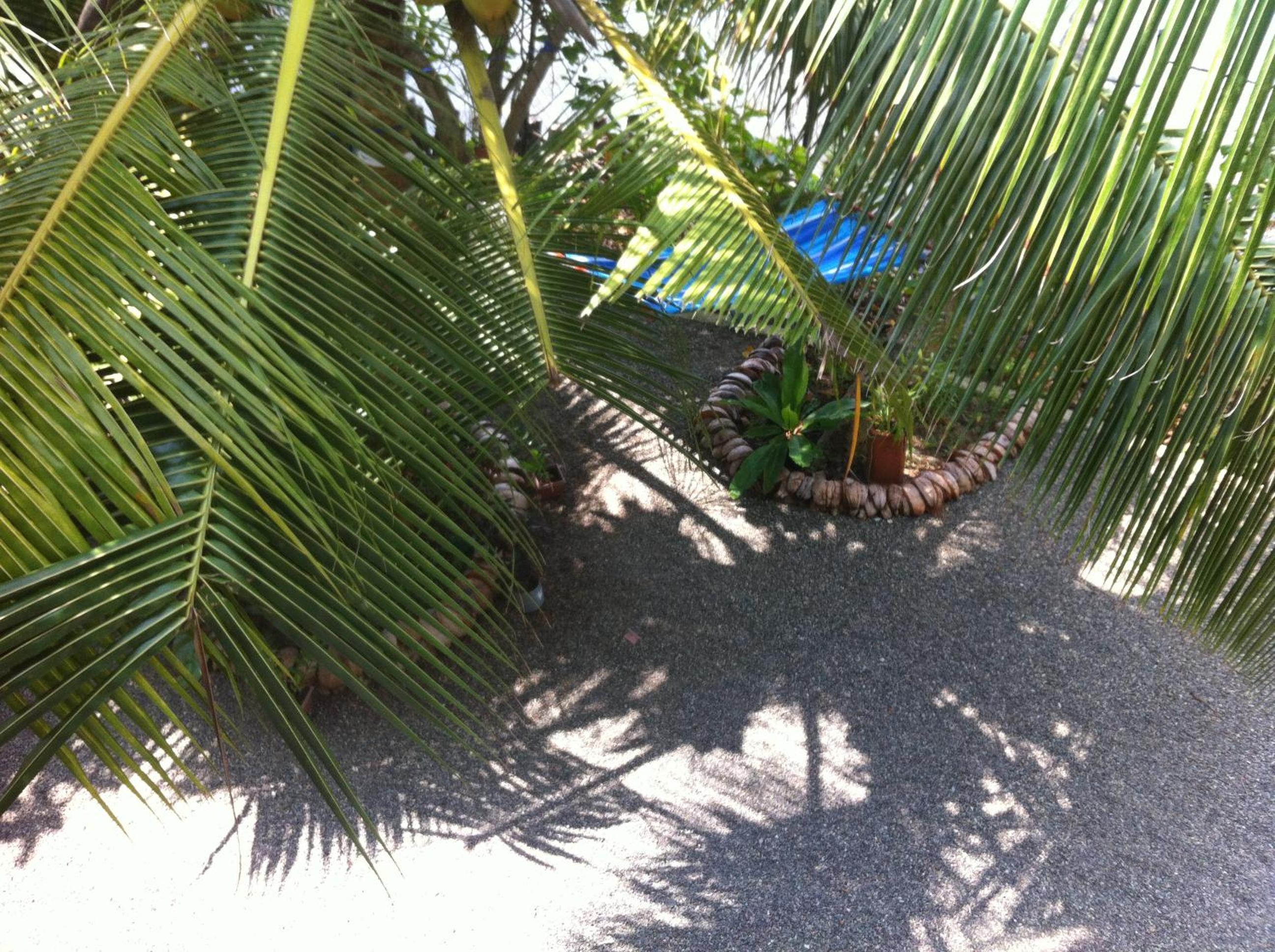 Photo 44