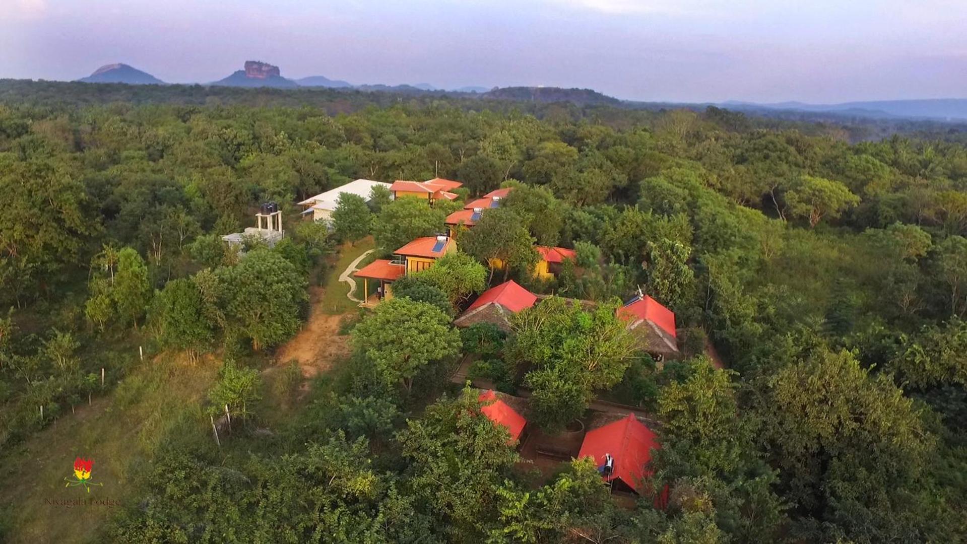 Hotel Niyagala Lodge Sigiriya