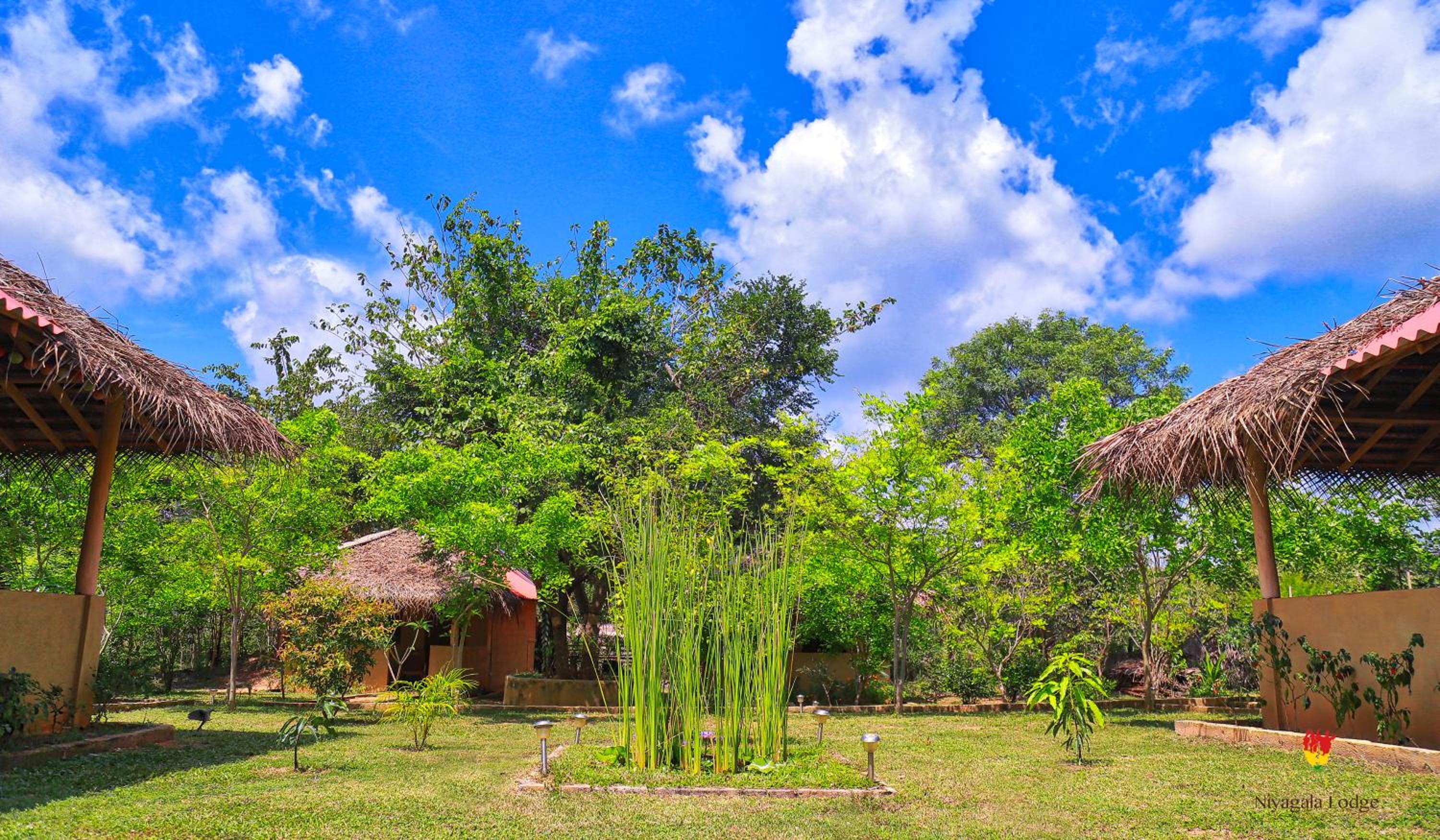 Hotel Niyagala Lodge Sigiriya
