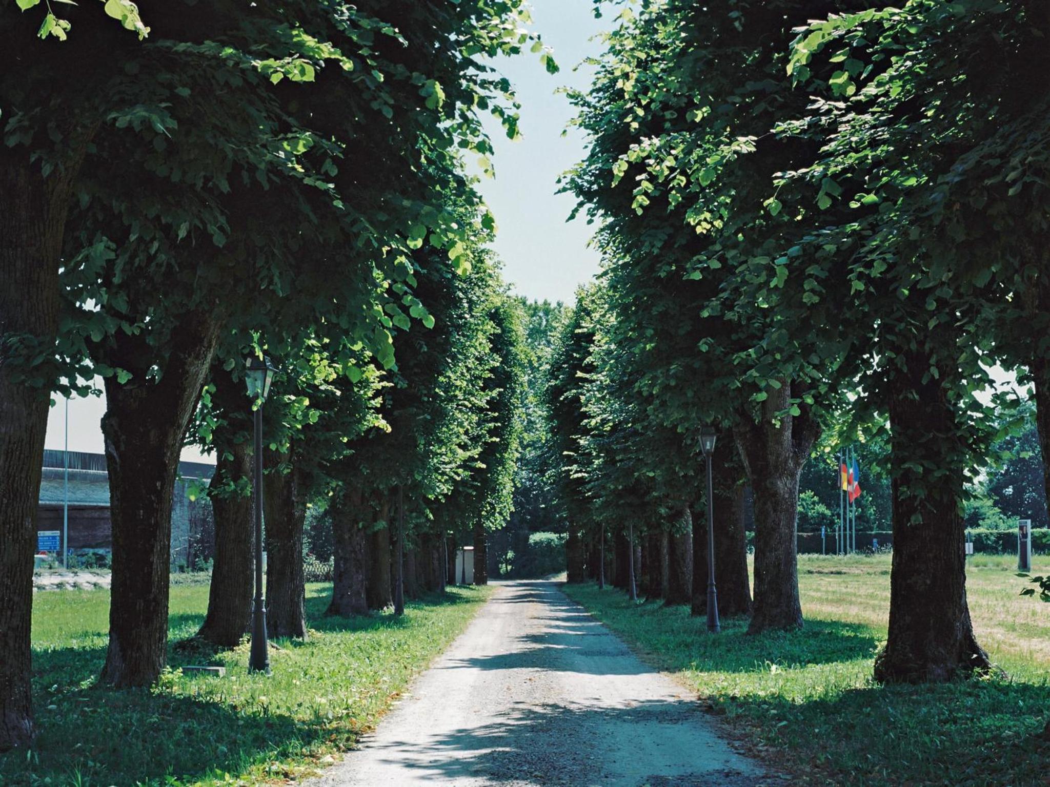 Villa Meli Lupi - Residenze Temporanee