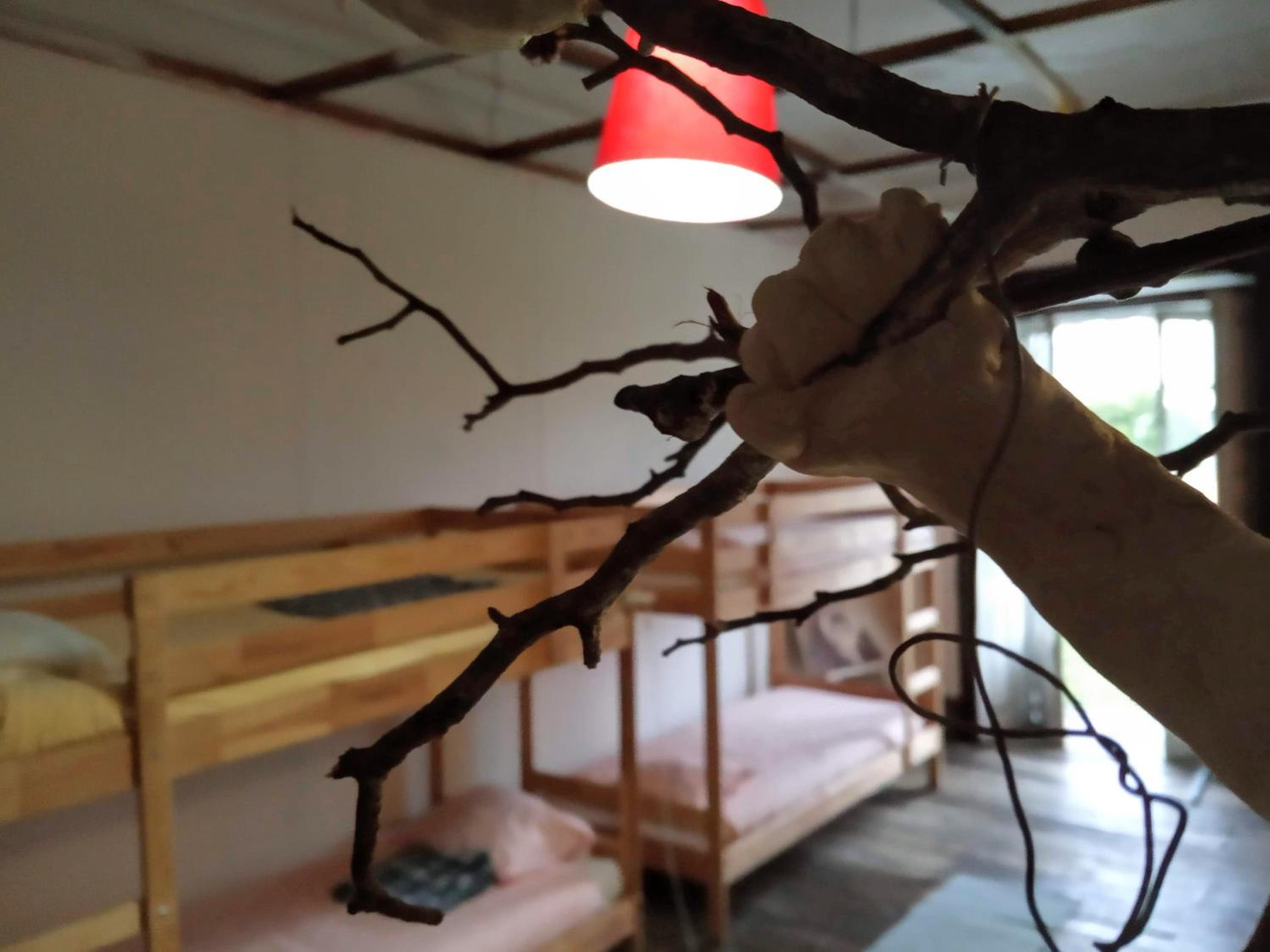 Family Adams House Hostel