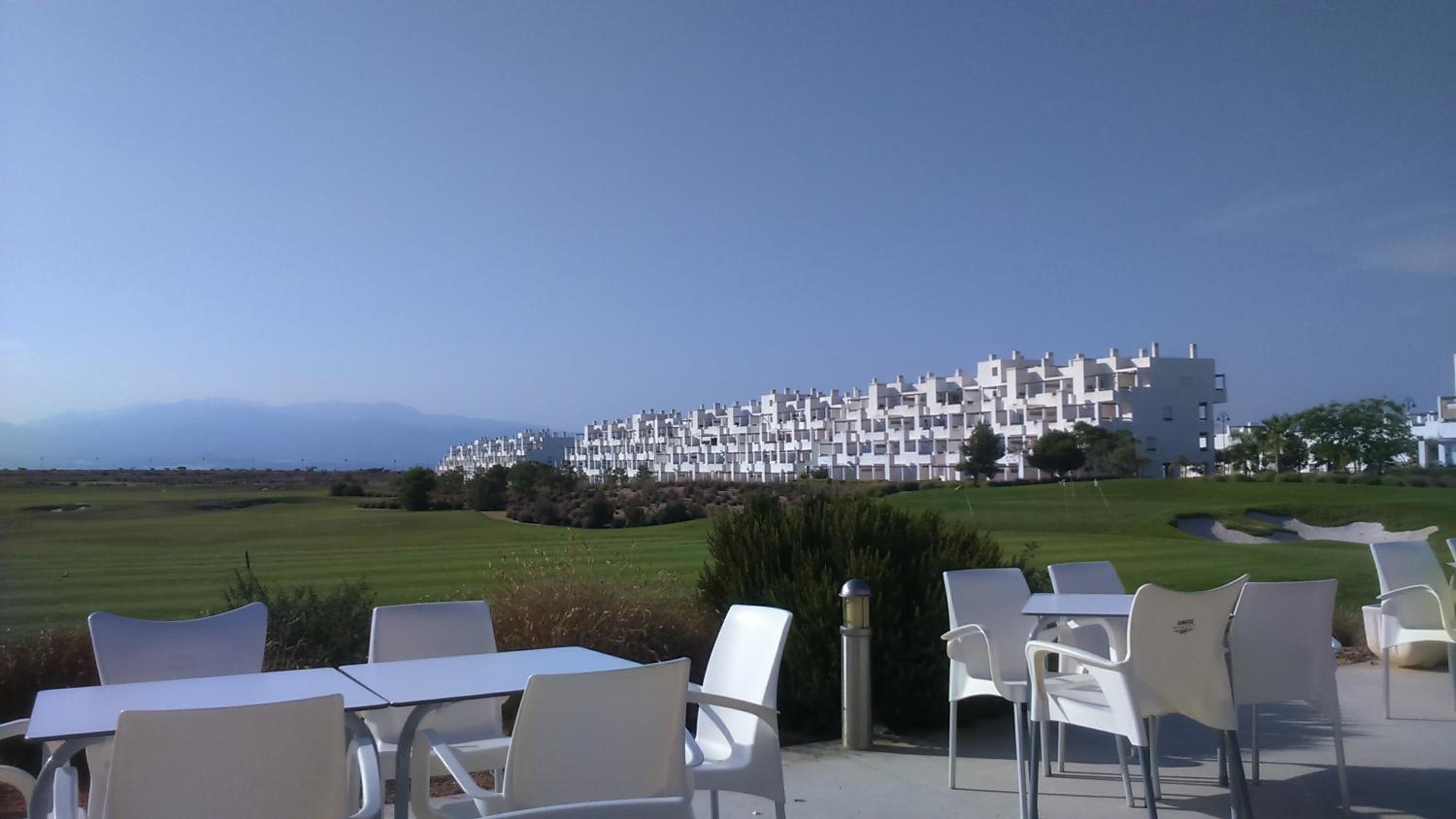 Condado de alhama, naranjos 8 view 3