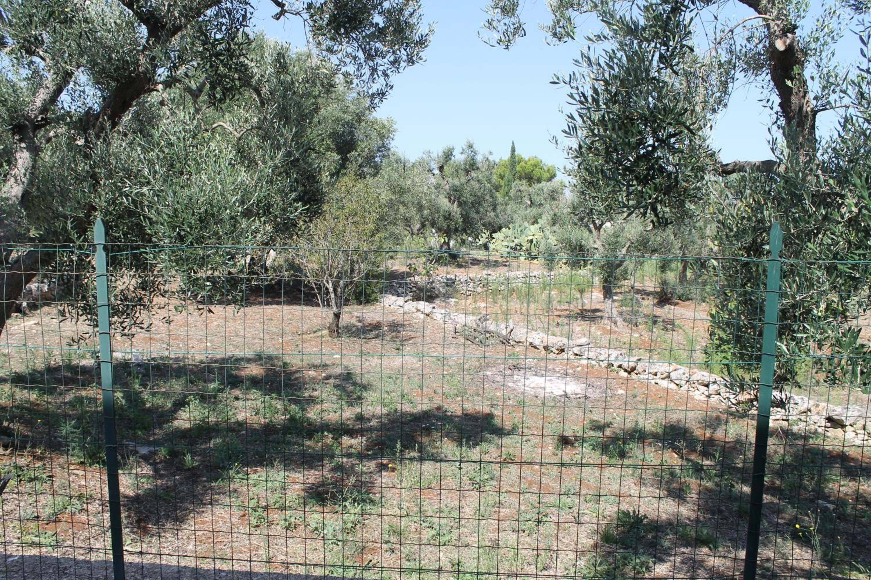 Photo 16