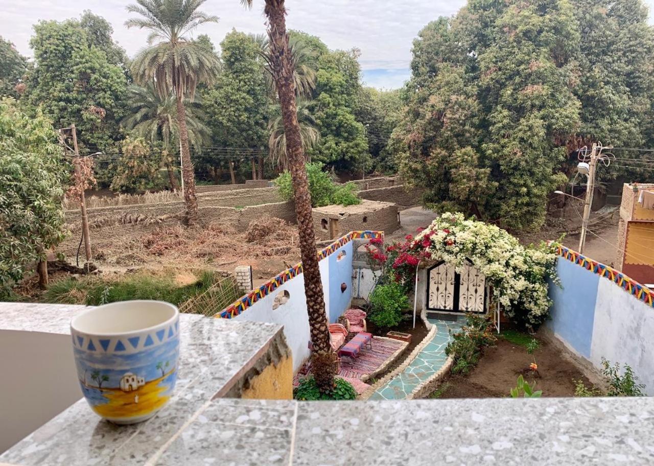 The Mango Guest House — photo 10