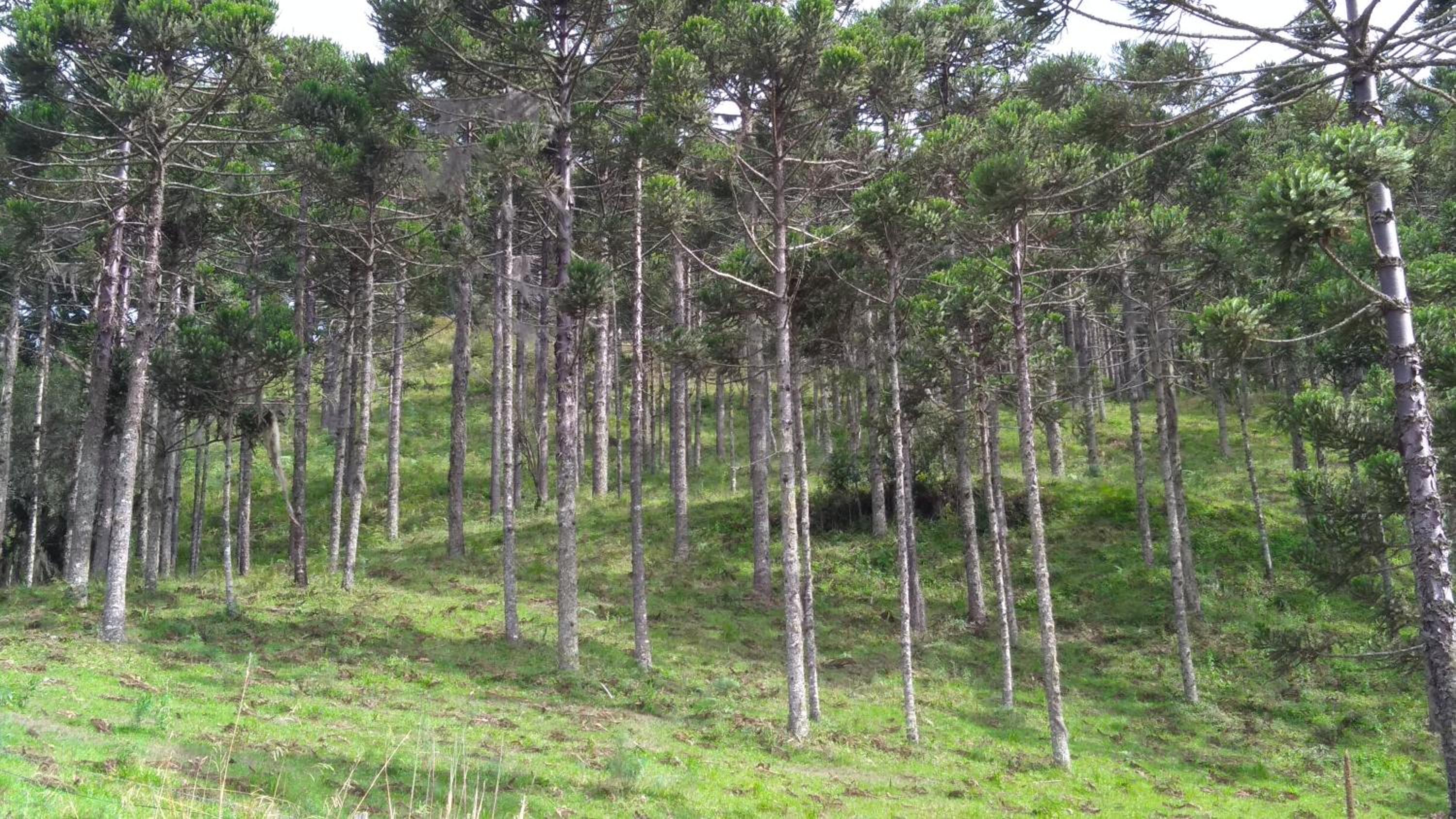 Quinta da Serra