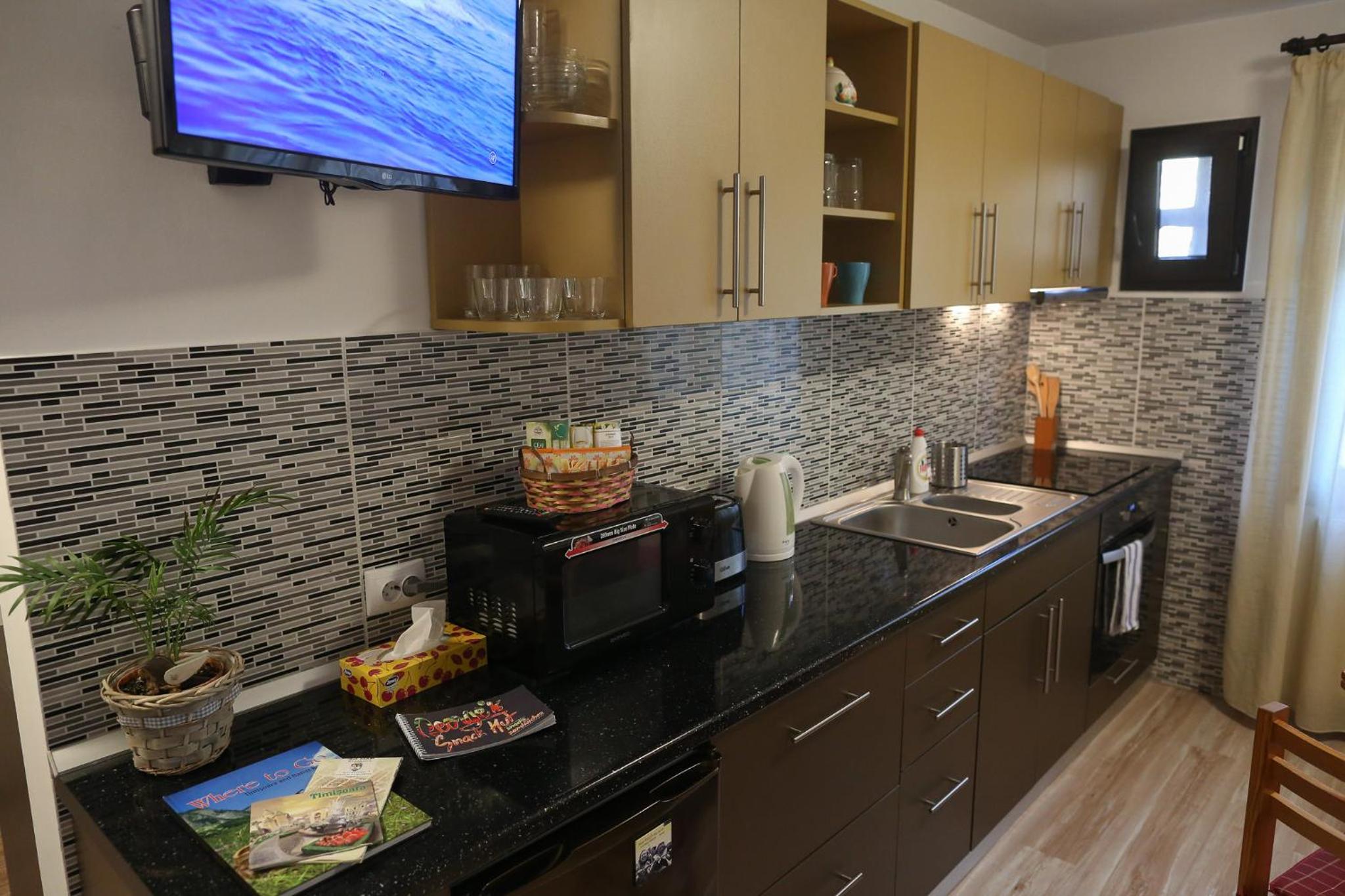 Central Place Apartment Timisoara