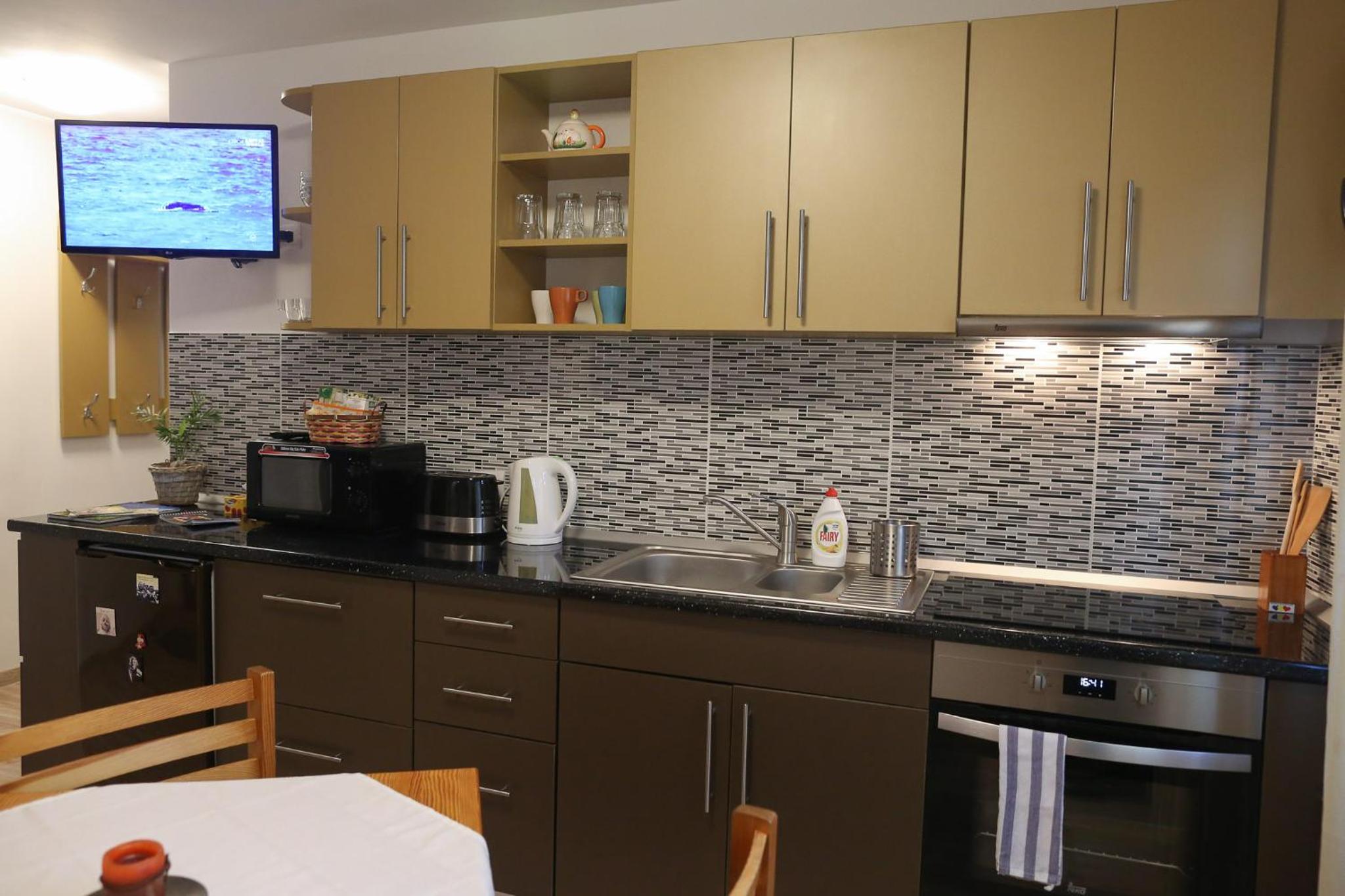 Central Place Apartment Timisoara