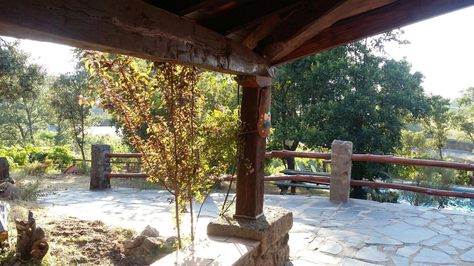 Photo 8