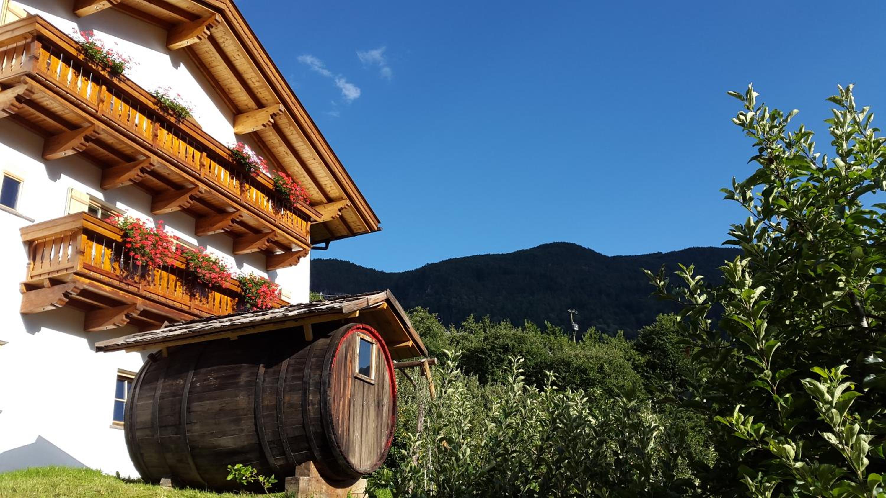 Lafreiderhof view 5