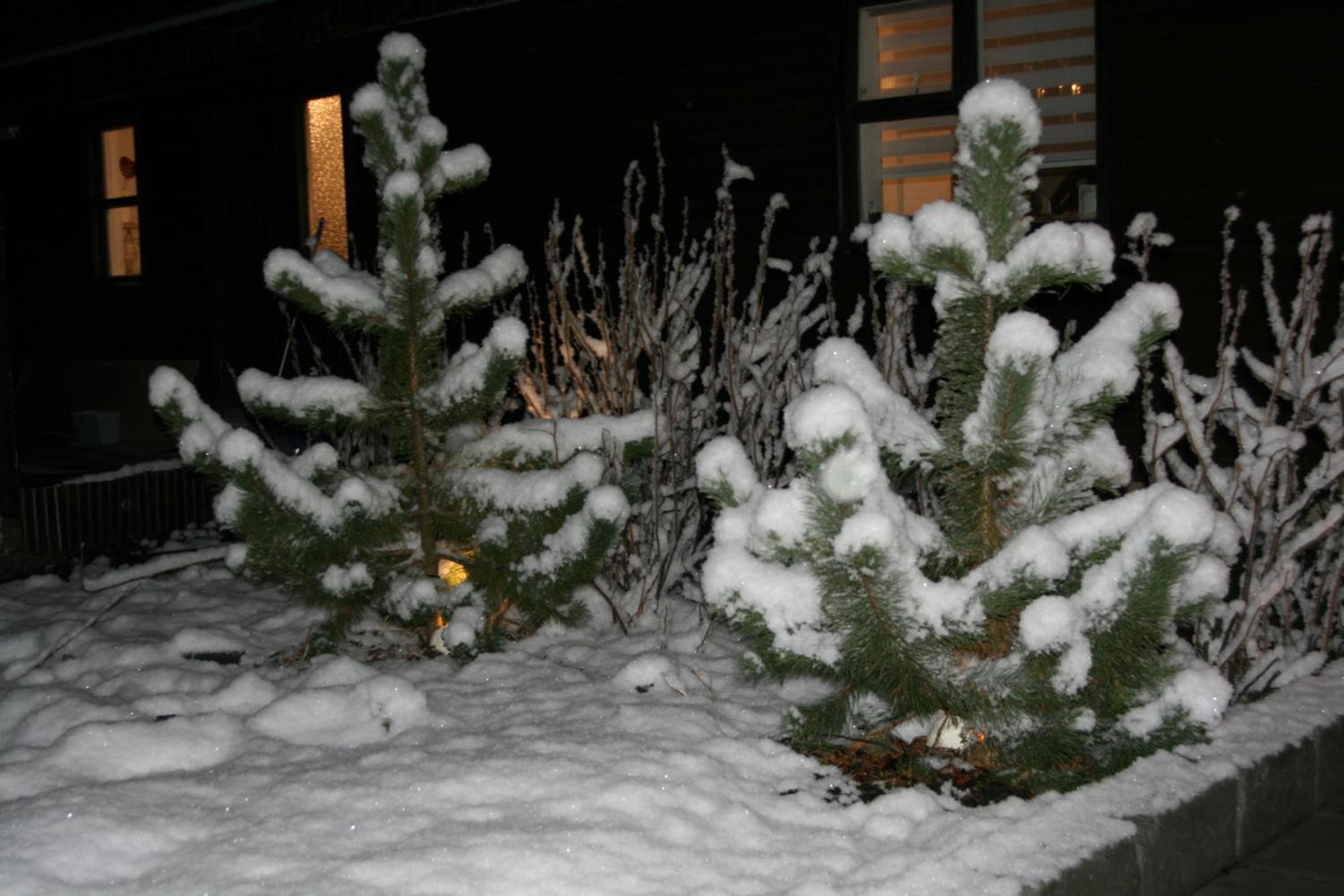 Photo 51