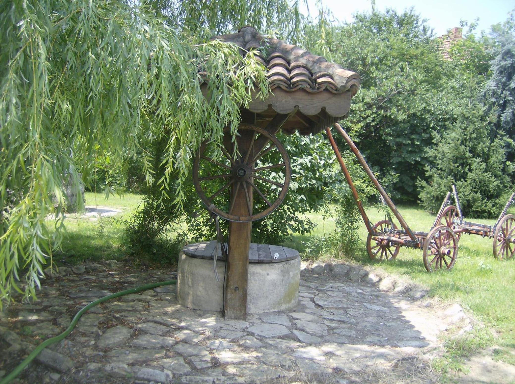 Photo 41