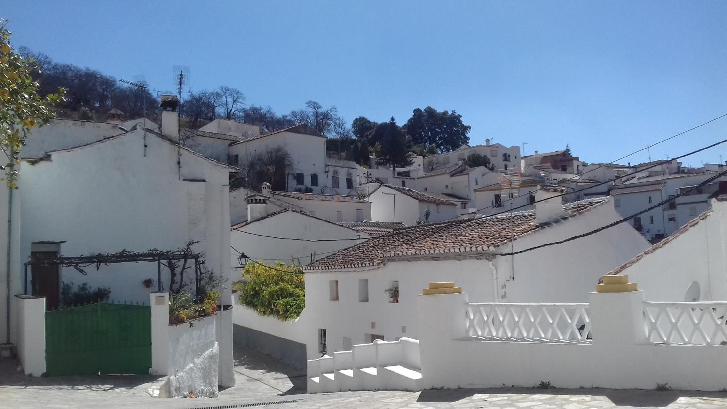 Casa Antoñita view 5