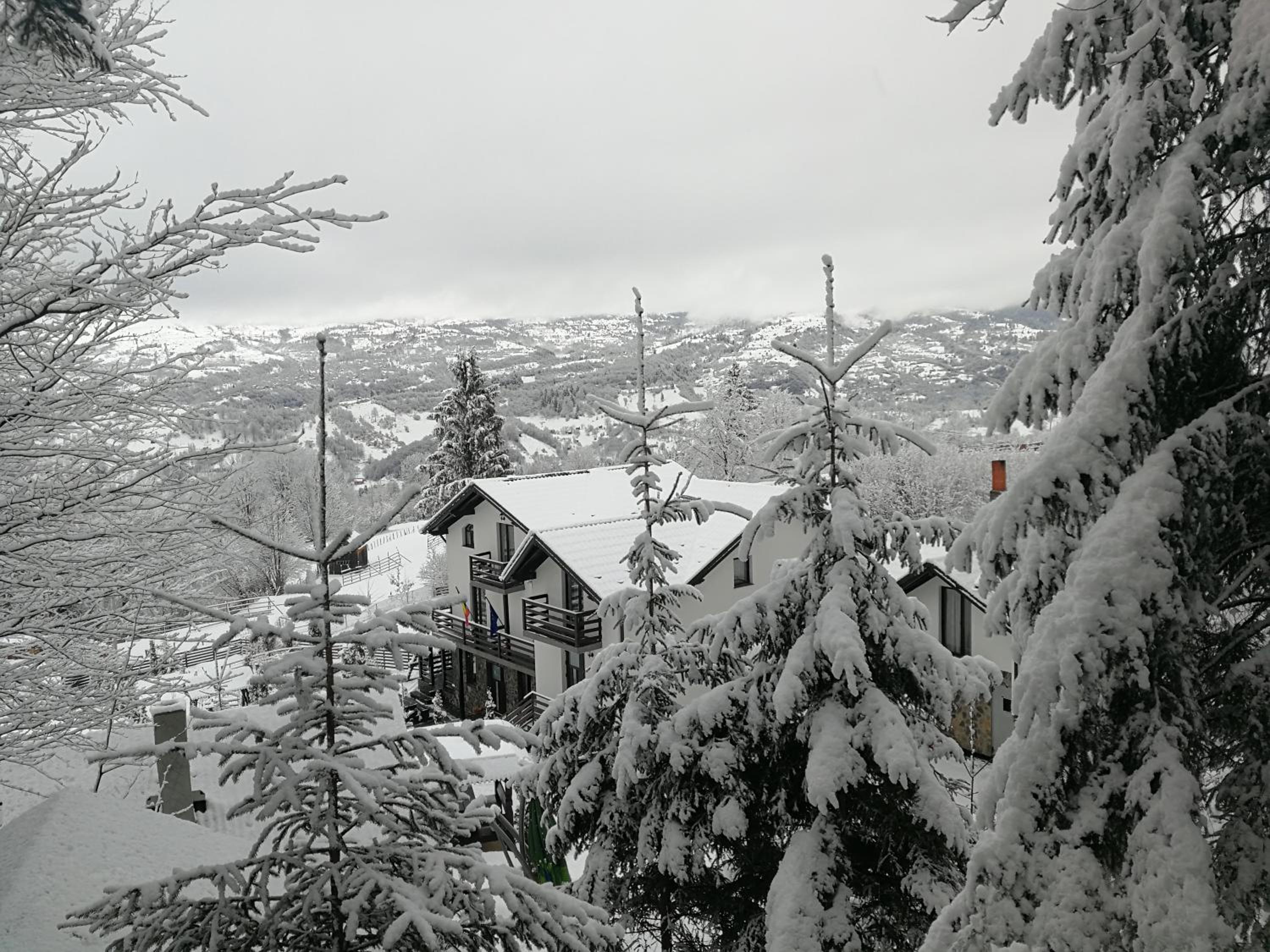 Photo 44