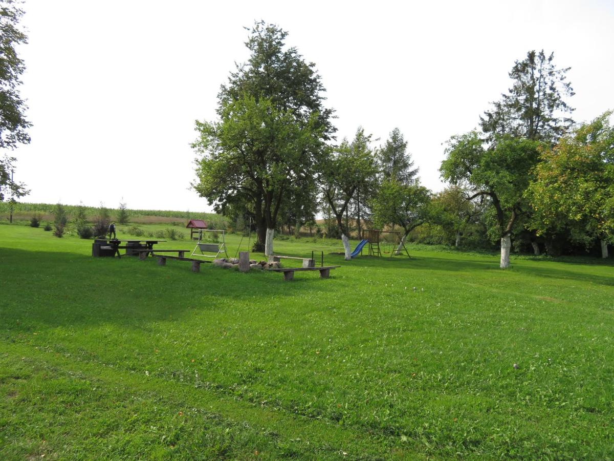 Photo 31