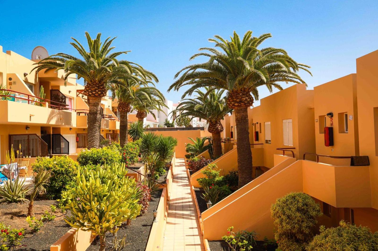 Luxury Cayetana, by Comfortable Luxury