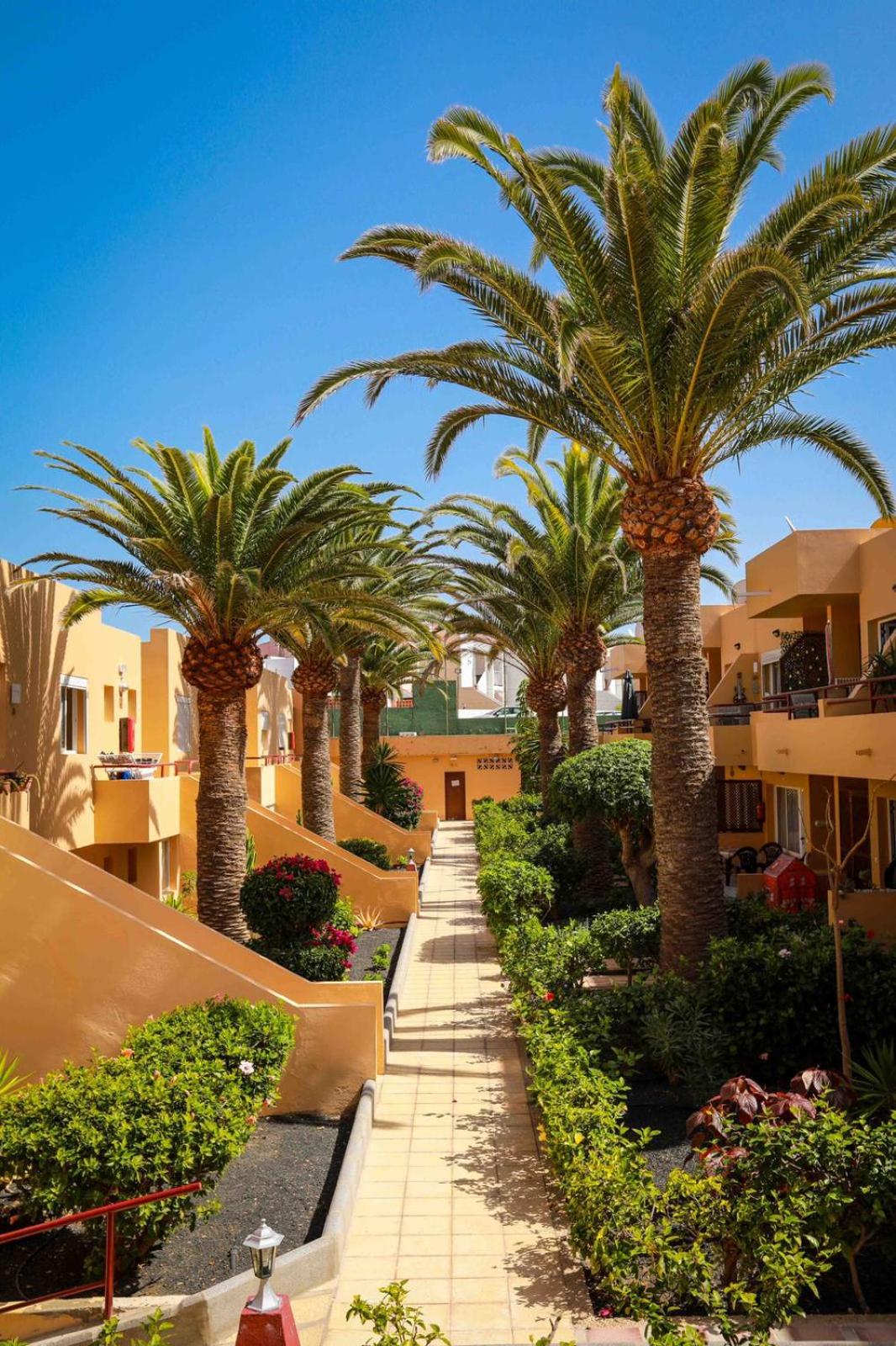 Luxury Cayetana, by Comfortable Luxury