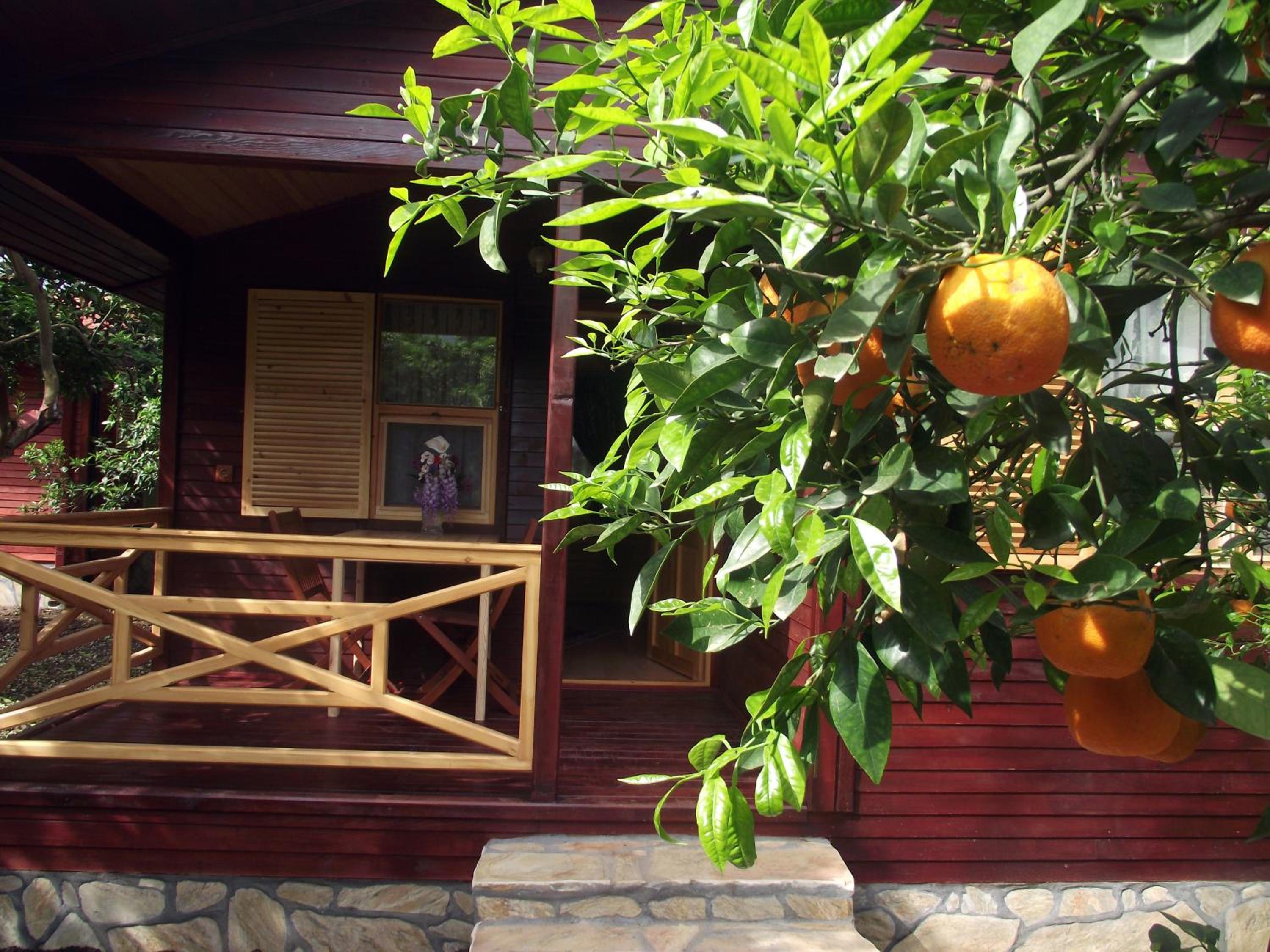 Mercan Bungalow