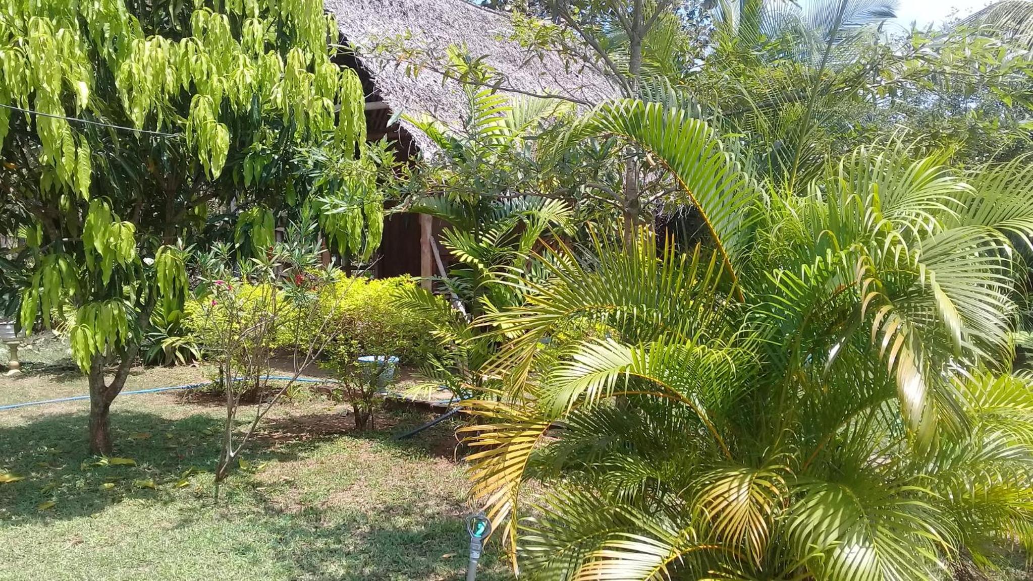 Village Garden Inn