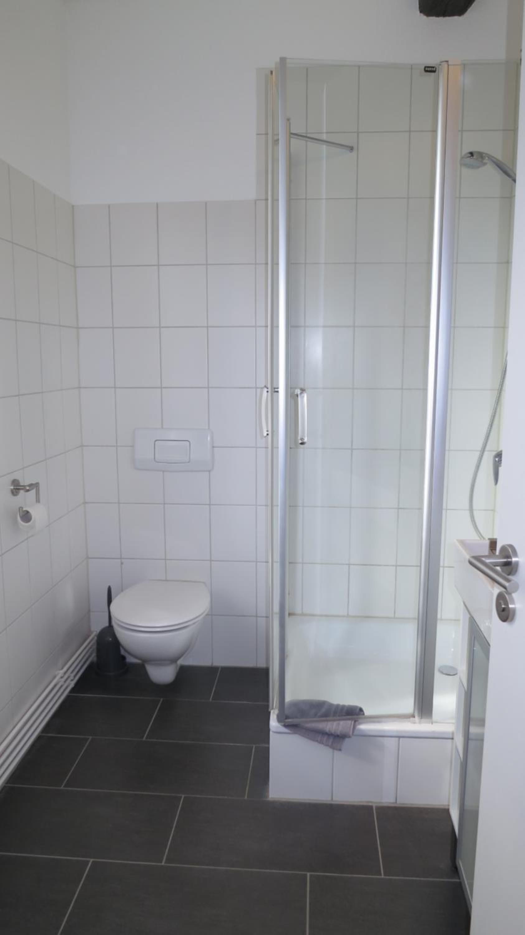 Apartment Brauner Hirsch view 3