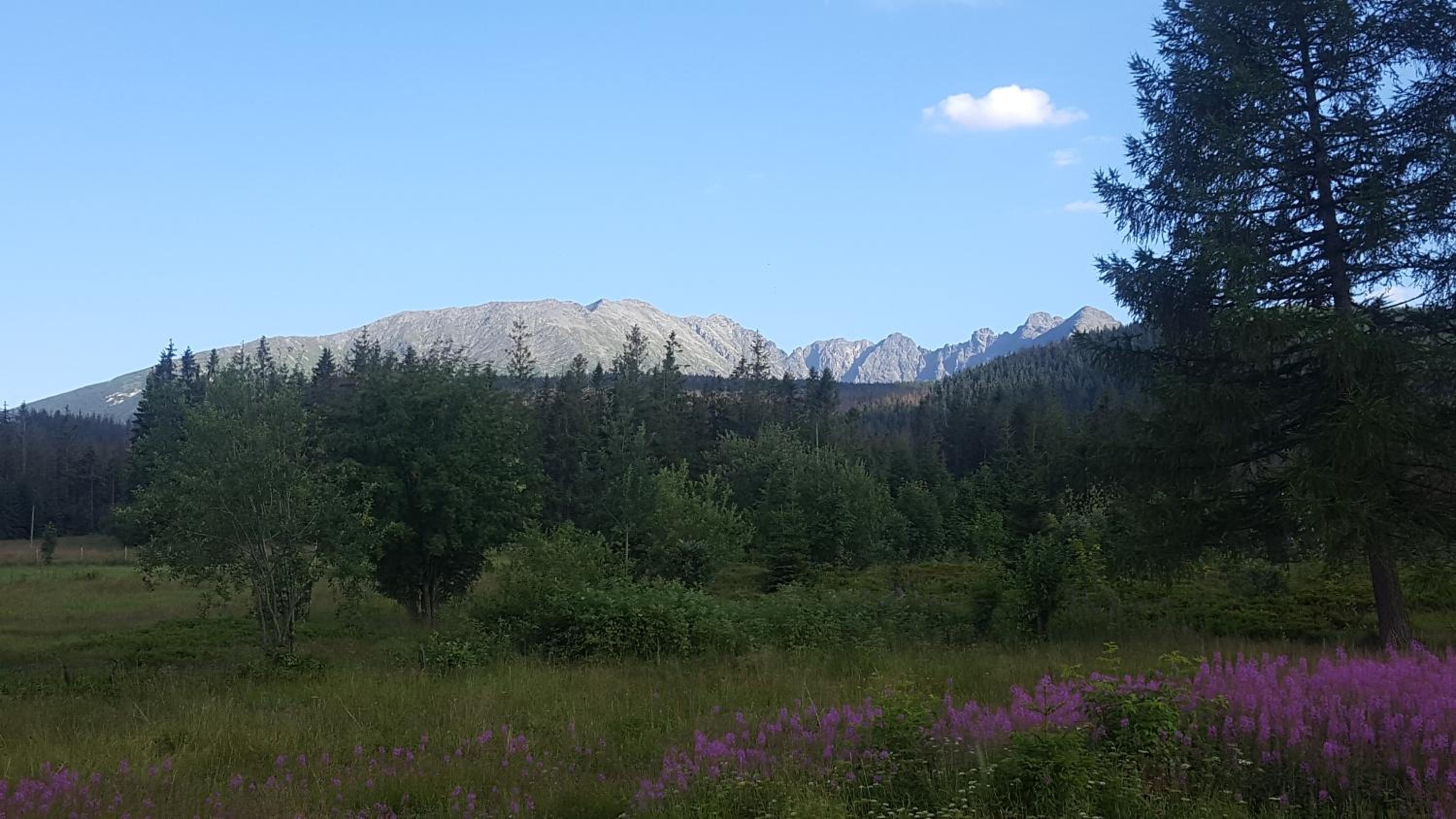 Photo 32