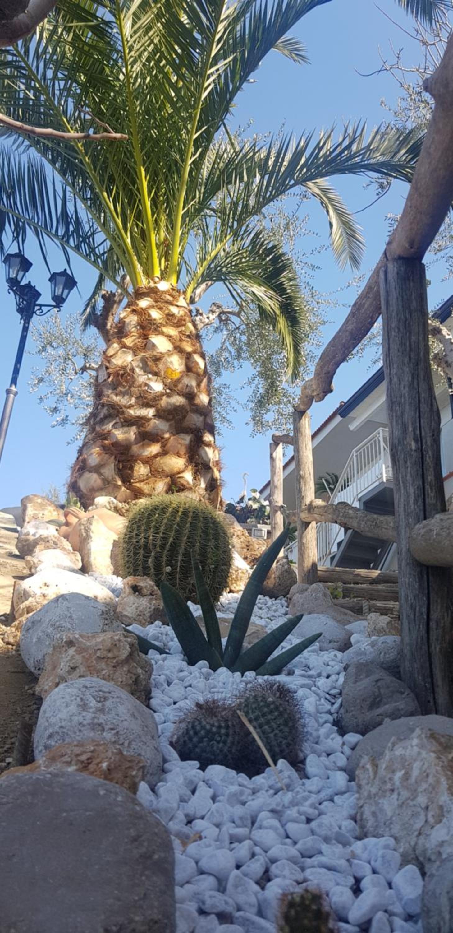 La Palombara B&B photo 5