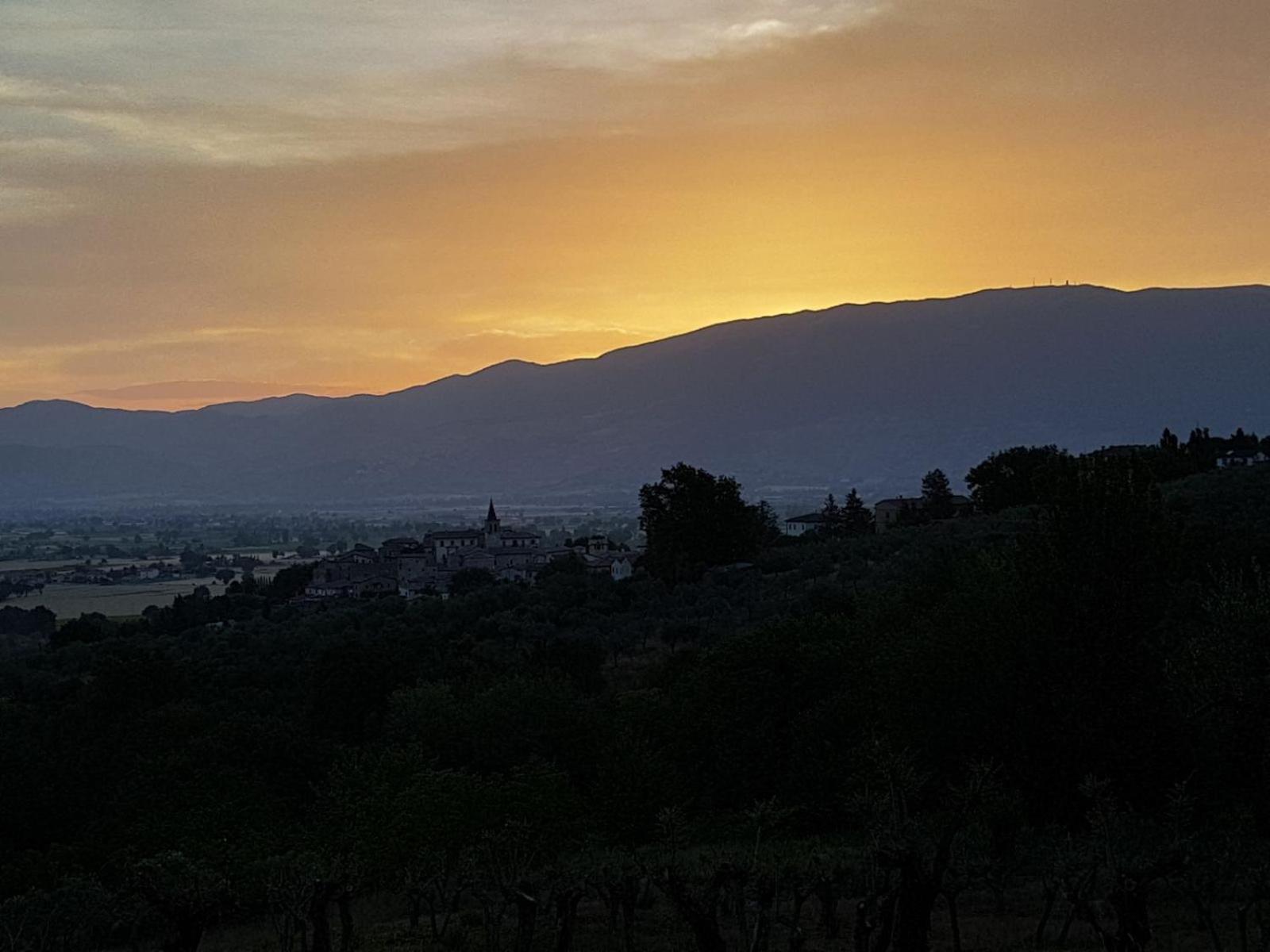 AGRITURISMO La Tenuta Dei Ricordi view 5