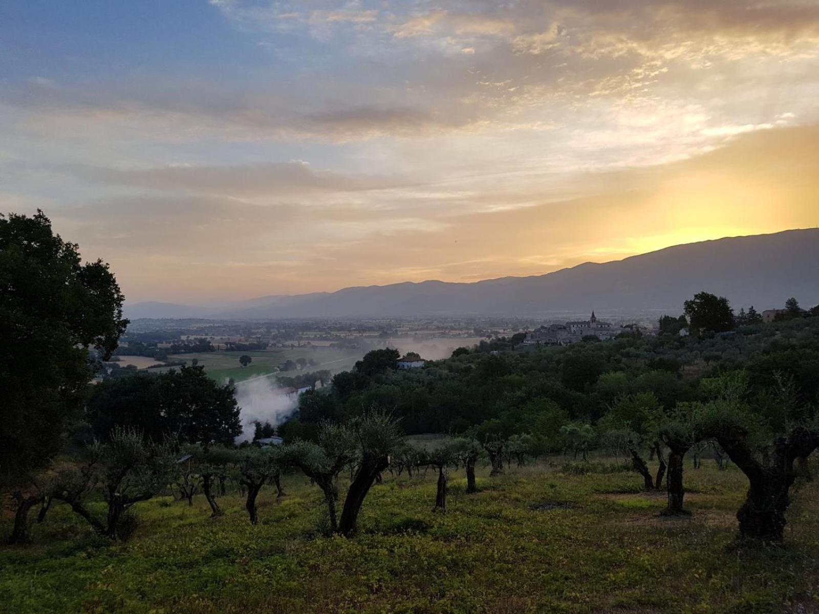 AGRITURISMO La Tenuta Dei Ricordi view 4
