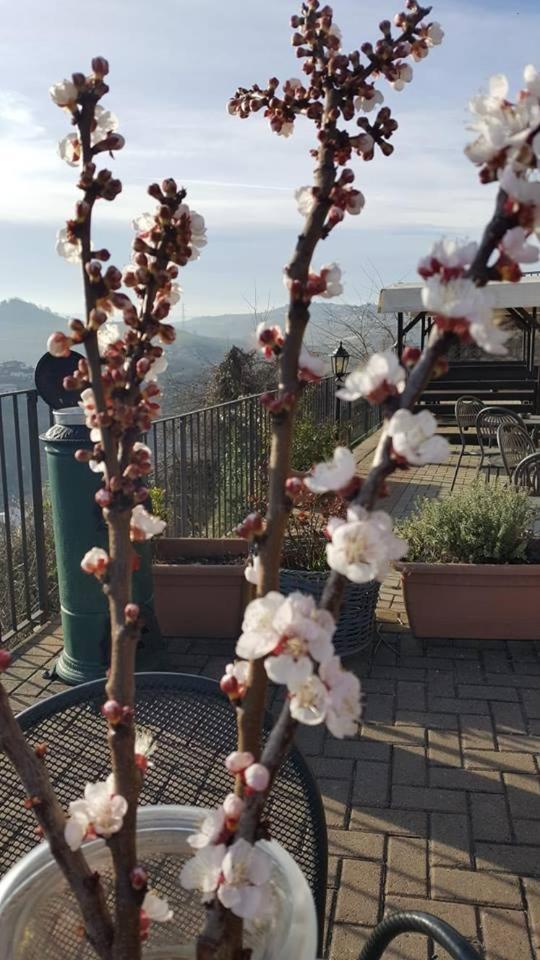 Il Borgo B&B