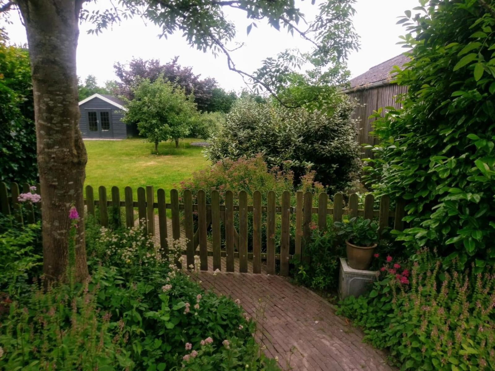 Photo 26