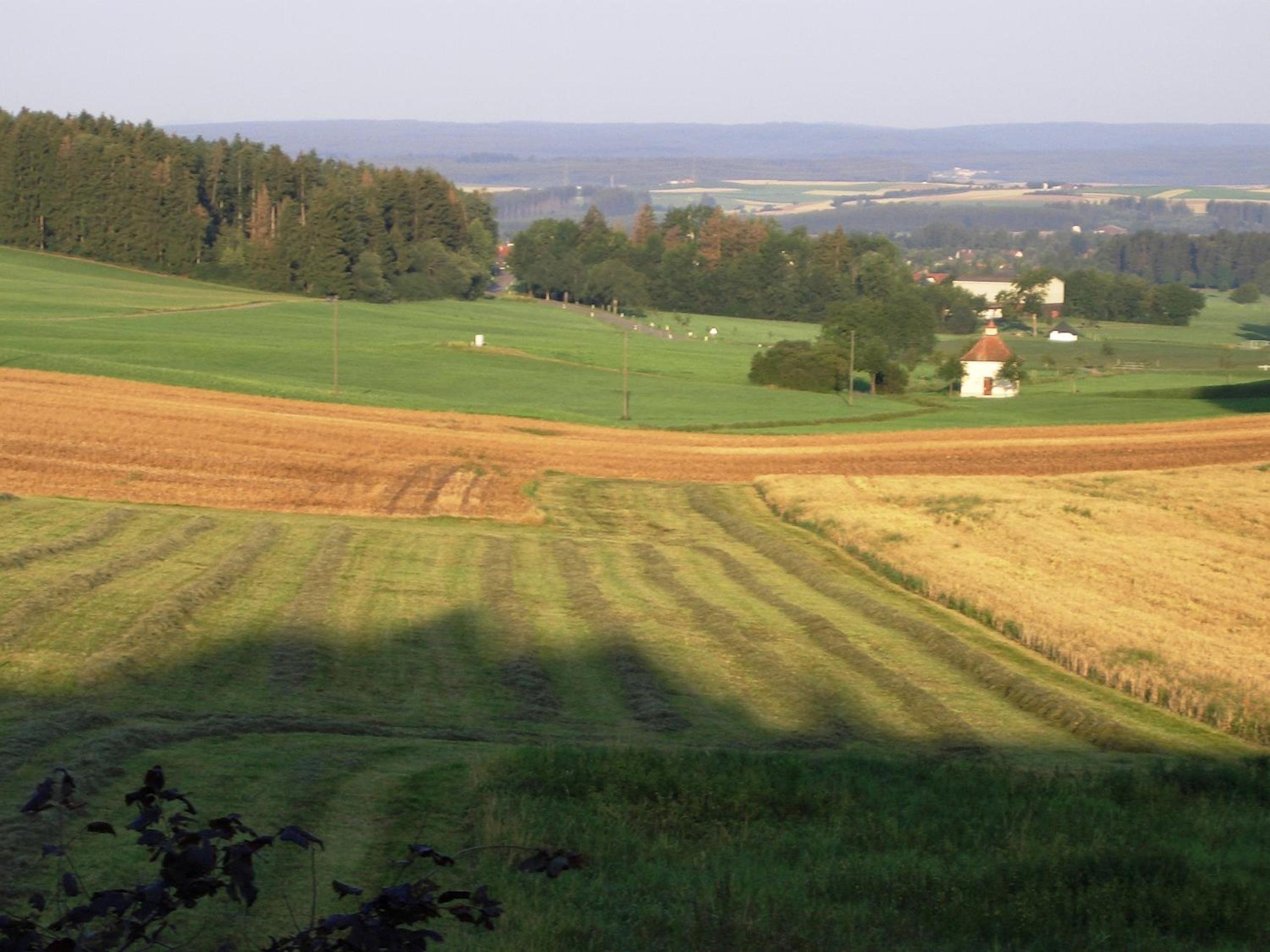 Photo 21