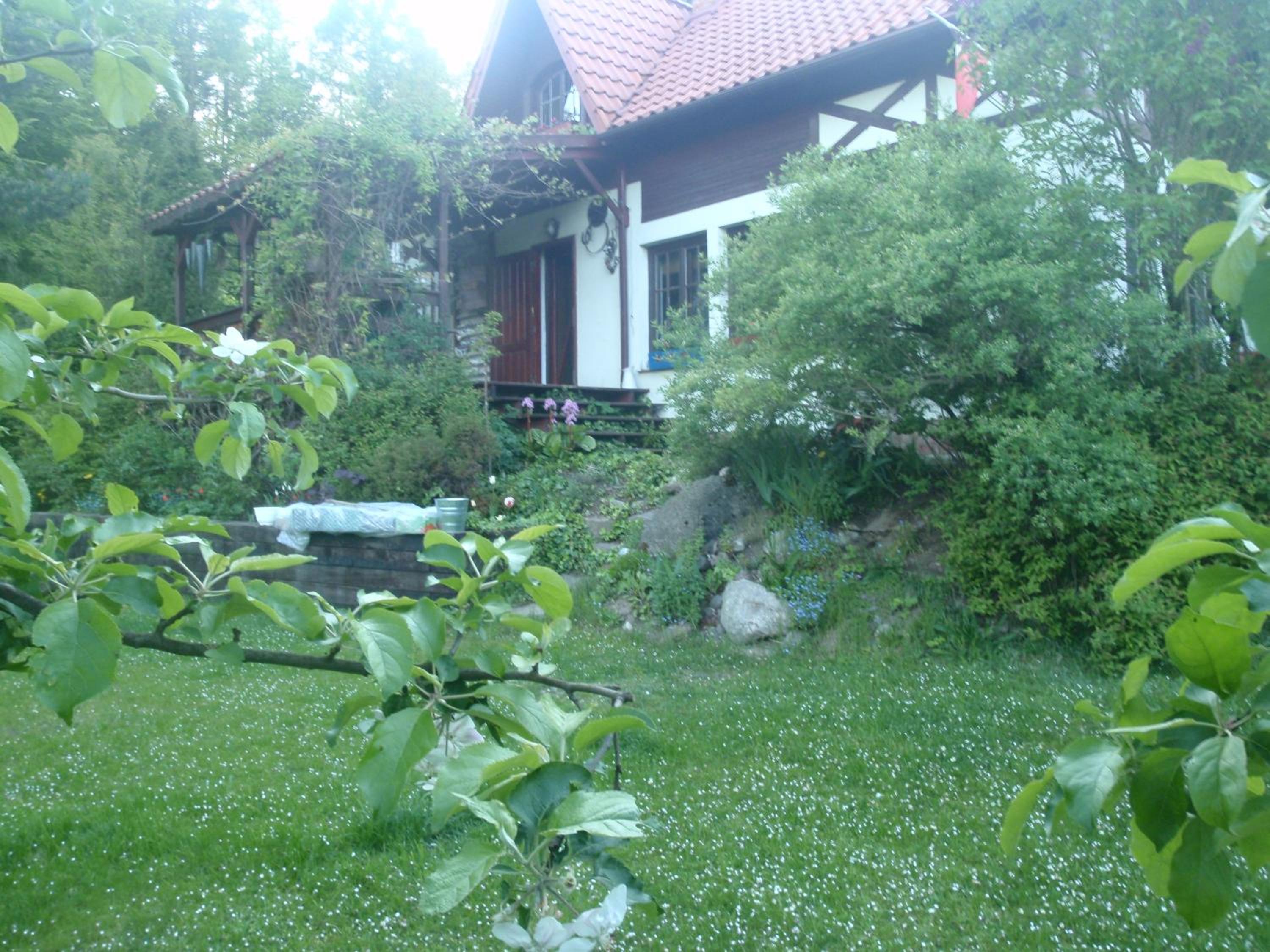 Photo 4