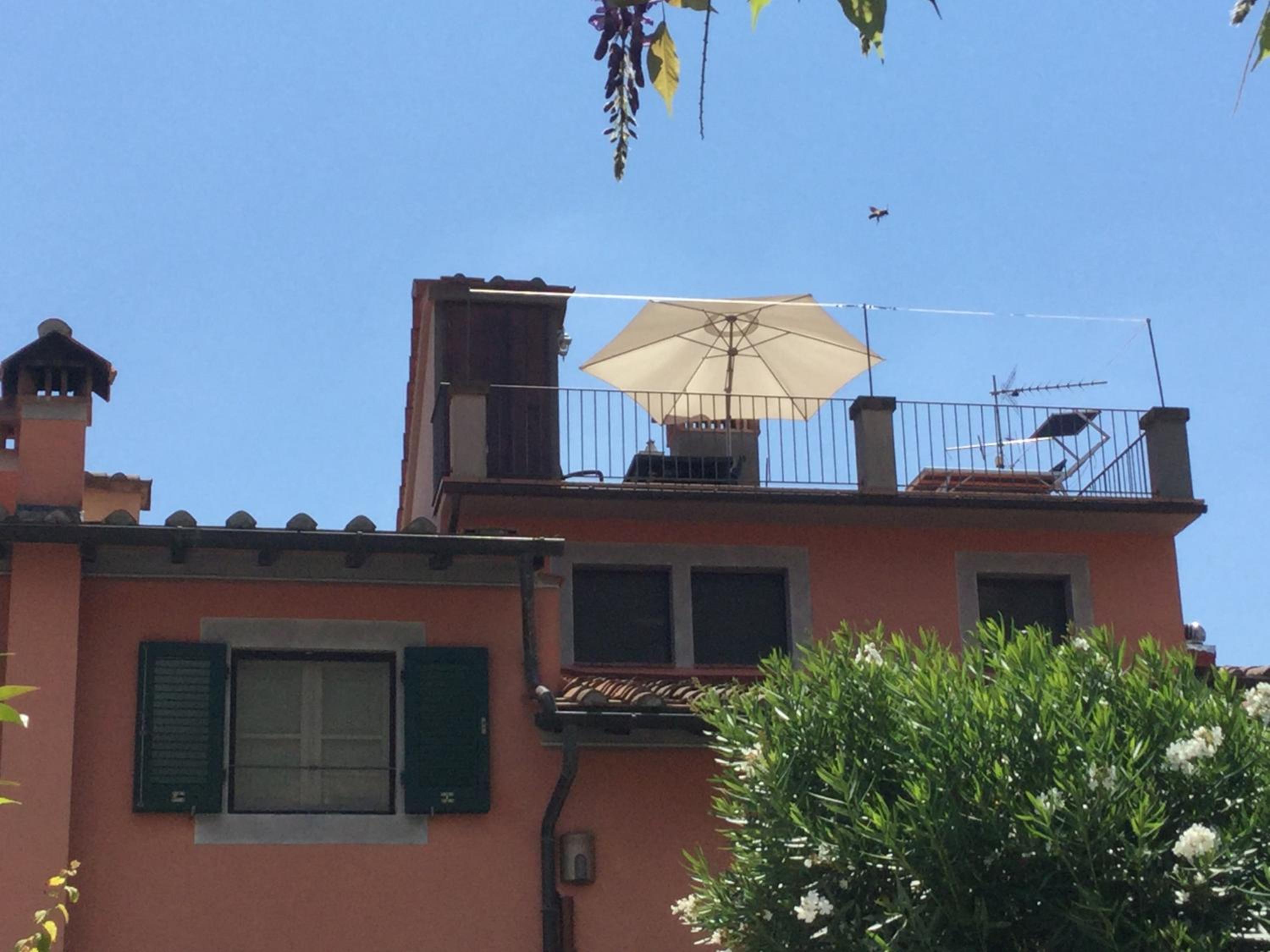 roof