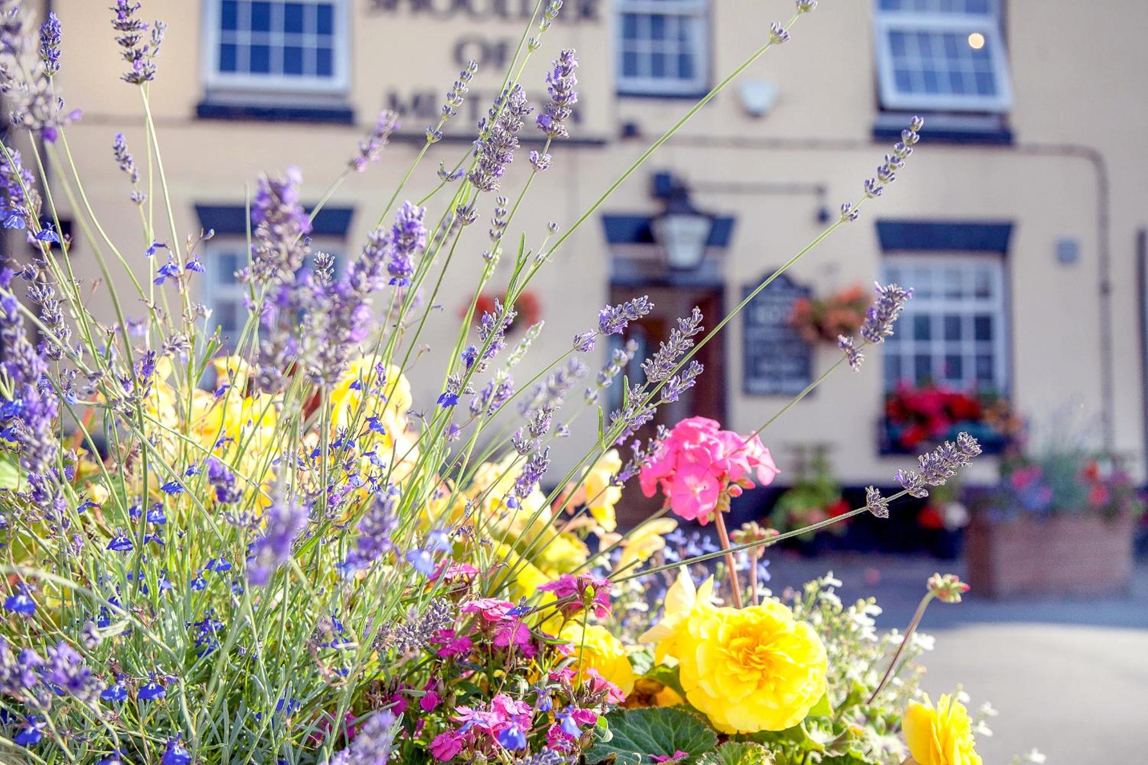 The Shoulder Of Mutton Inn view 2