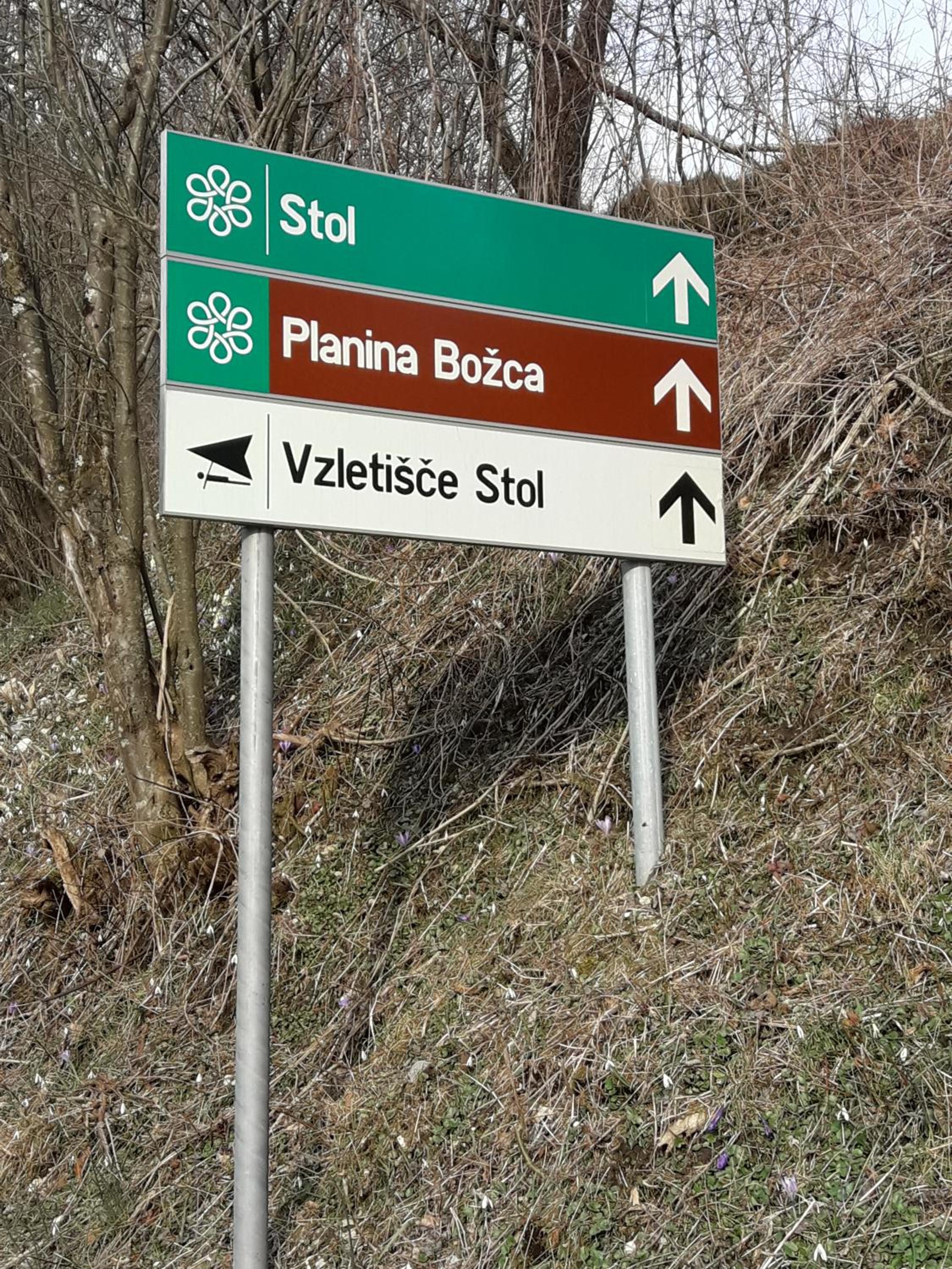 APARTMA SABOTIČ view 5