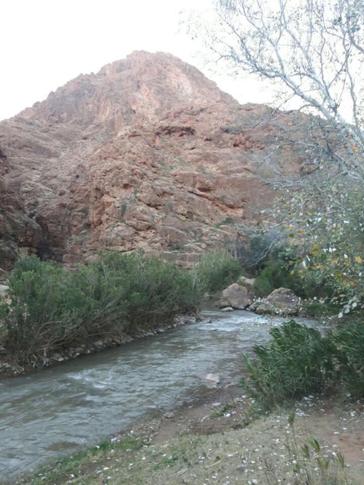 Photo 40