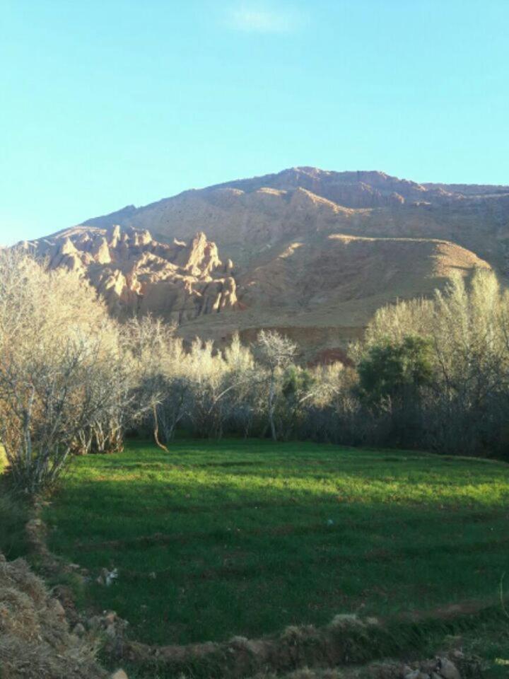 Photo 43