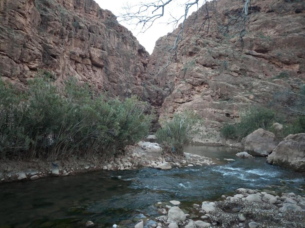 Photo 45