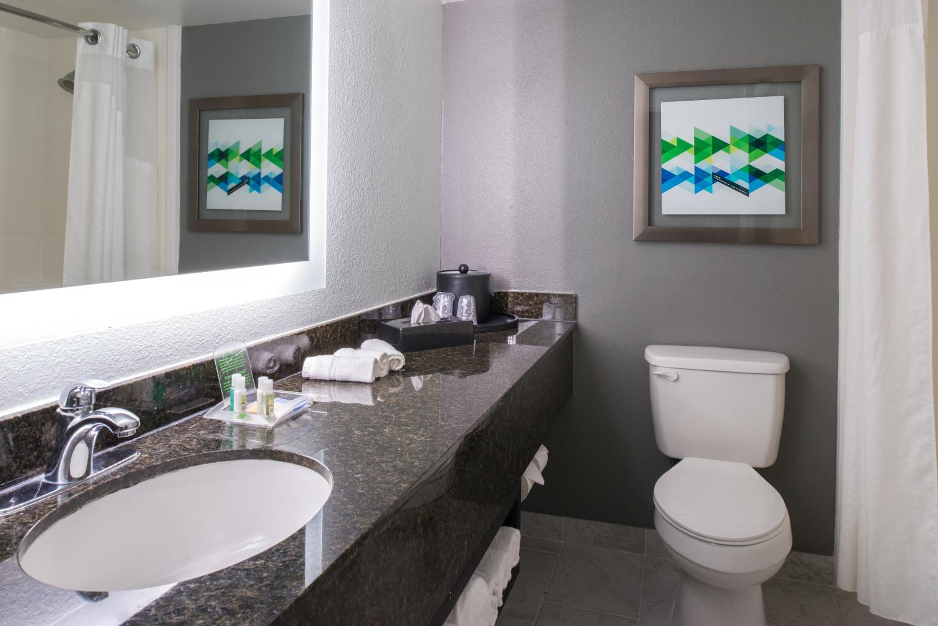 Beaumont Vacations - Holiday Inn Hotel and Suites Beaumont-Plaza I-10 Walden, an IHG Hotel - Property Image 22