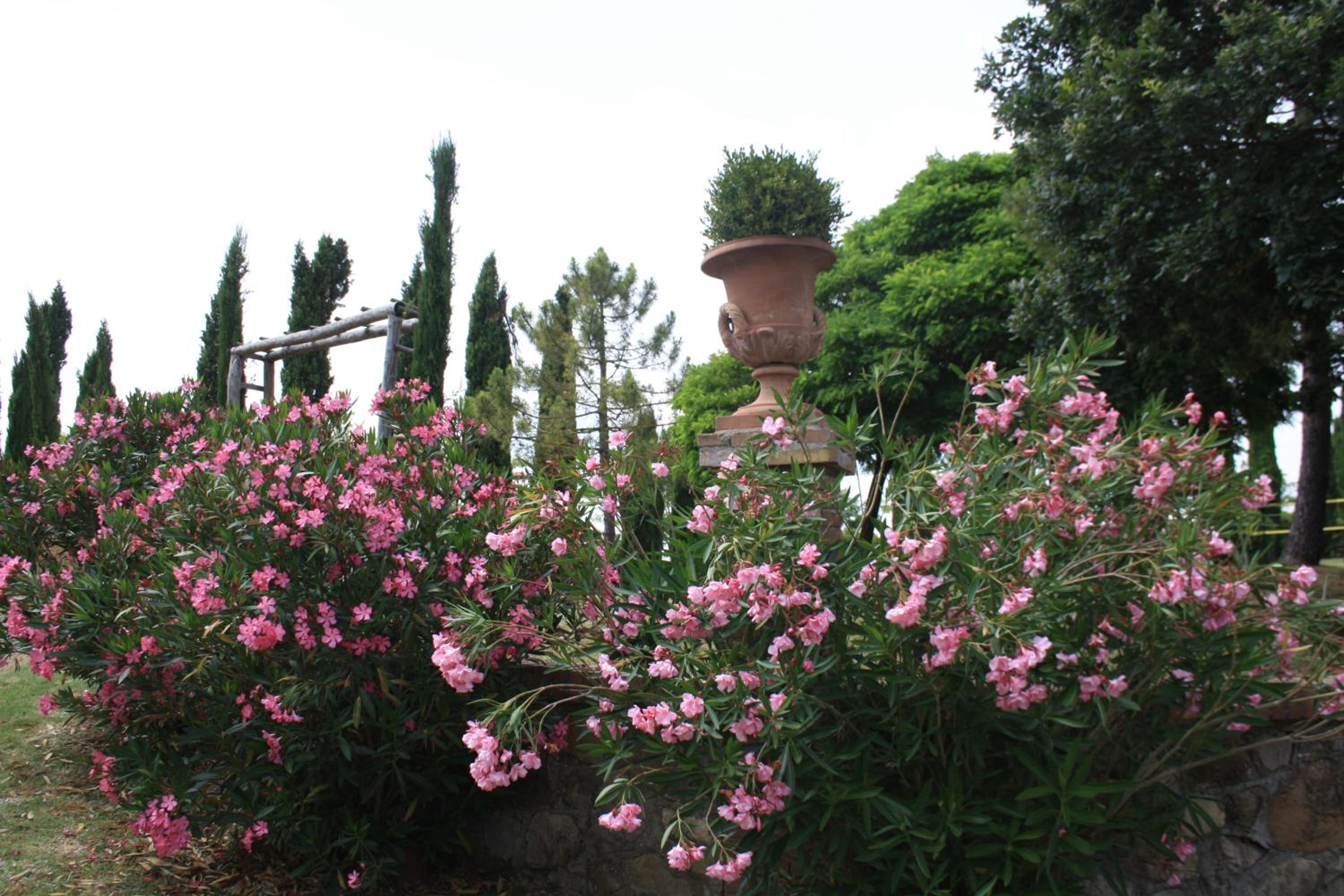 Agriturismo Materno